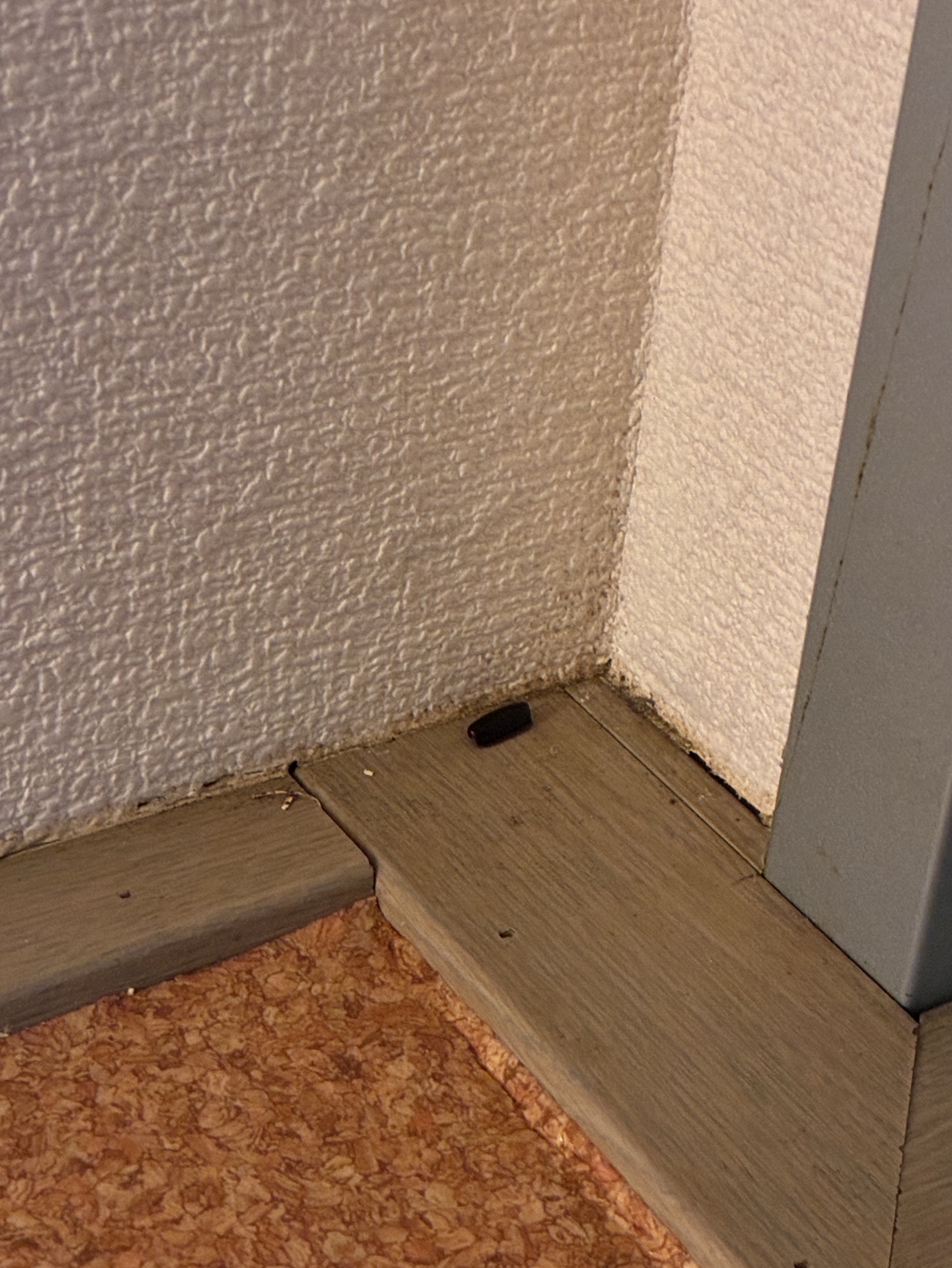 部屋の掃除！