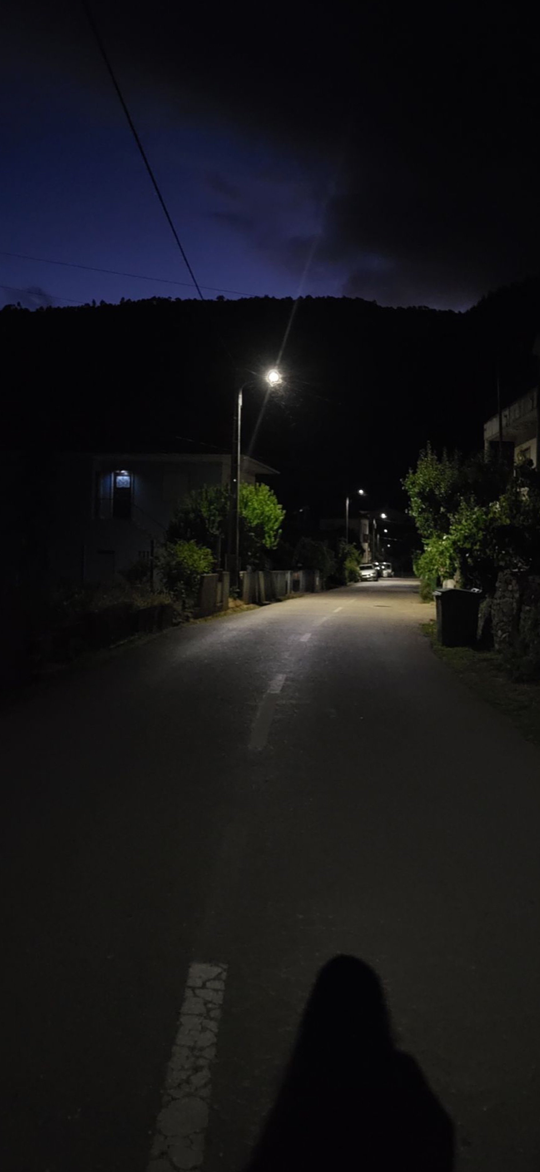お話し相手