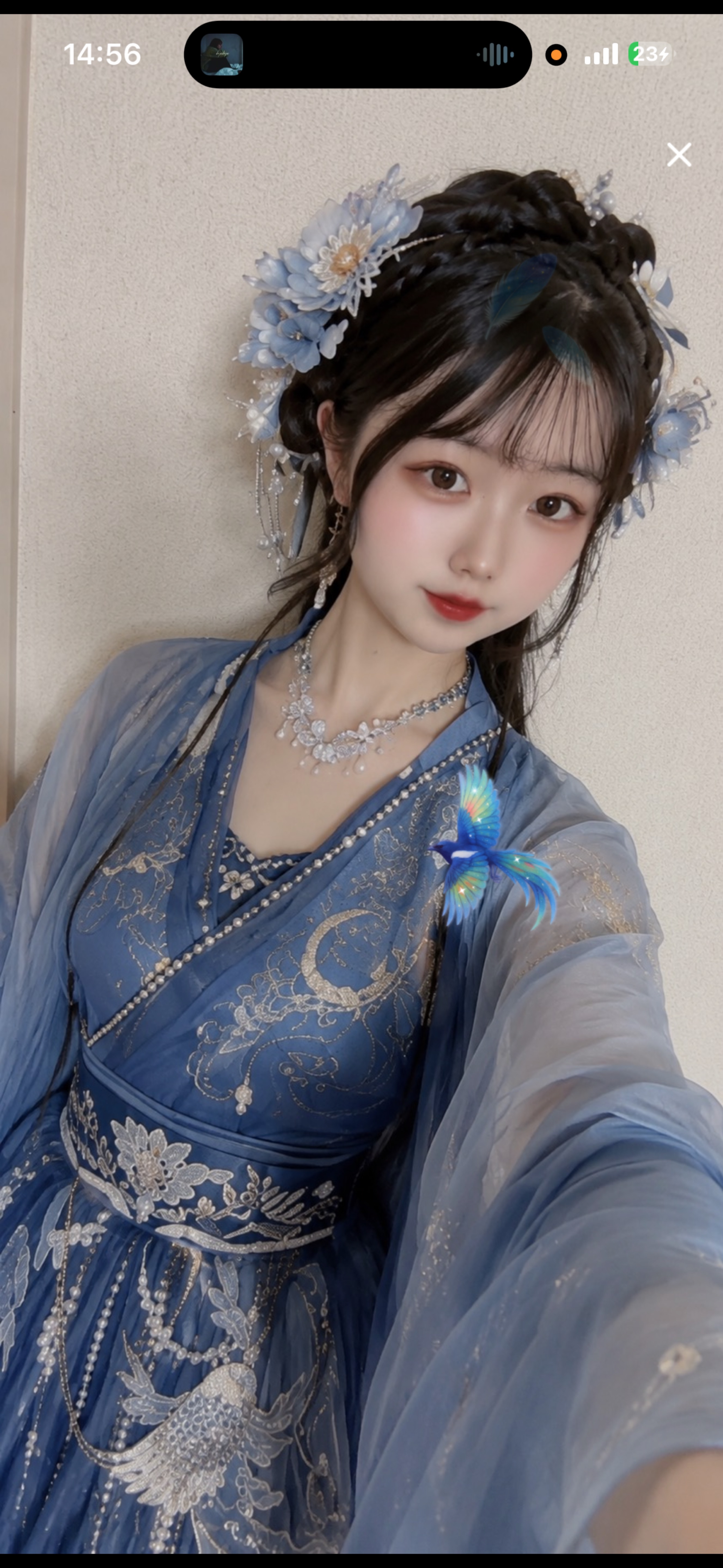 彦星どこ？！