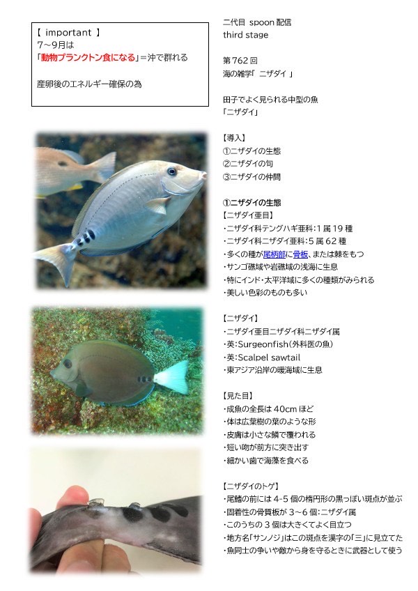 第762回／ニザダイ／潜〇初◎