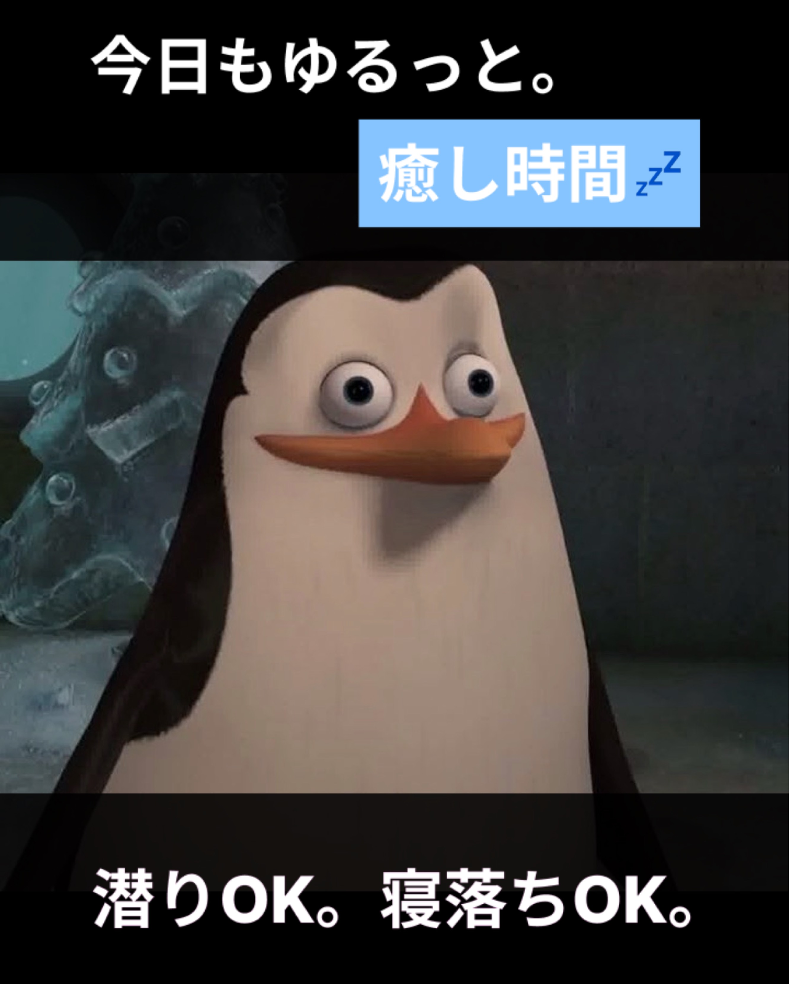 ご主人を見るうぉれ