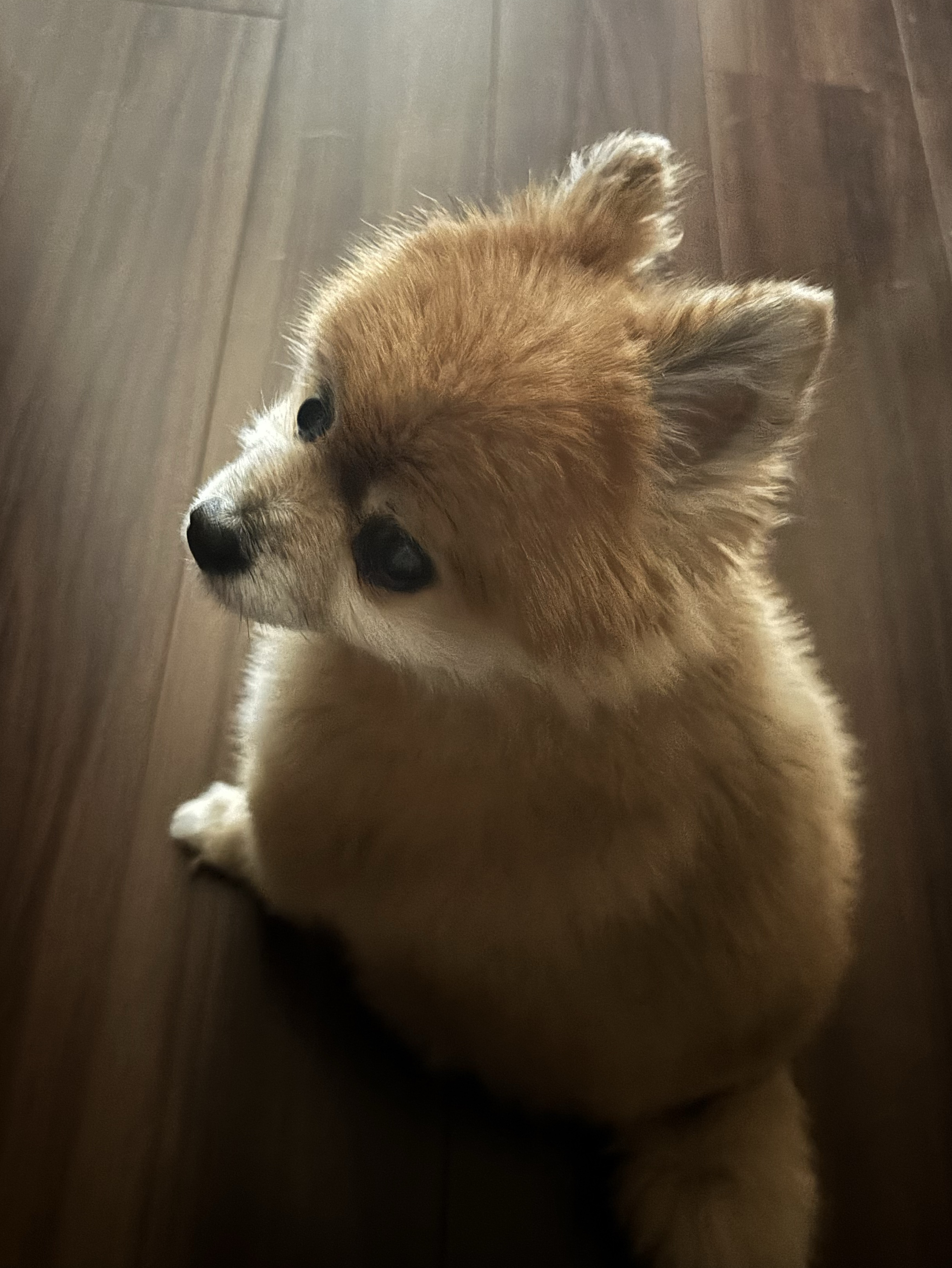 なんか目さめた
