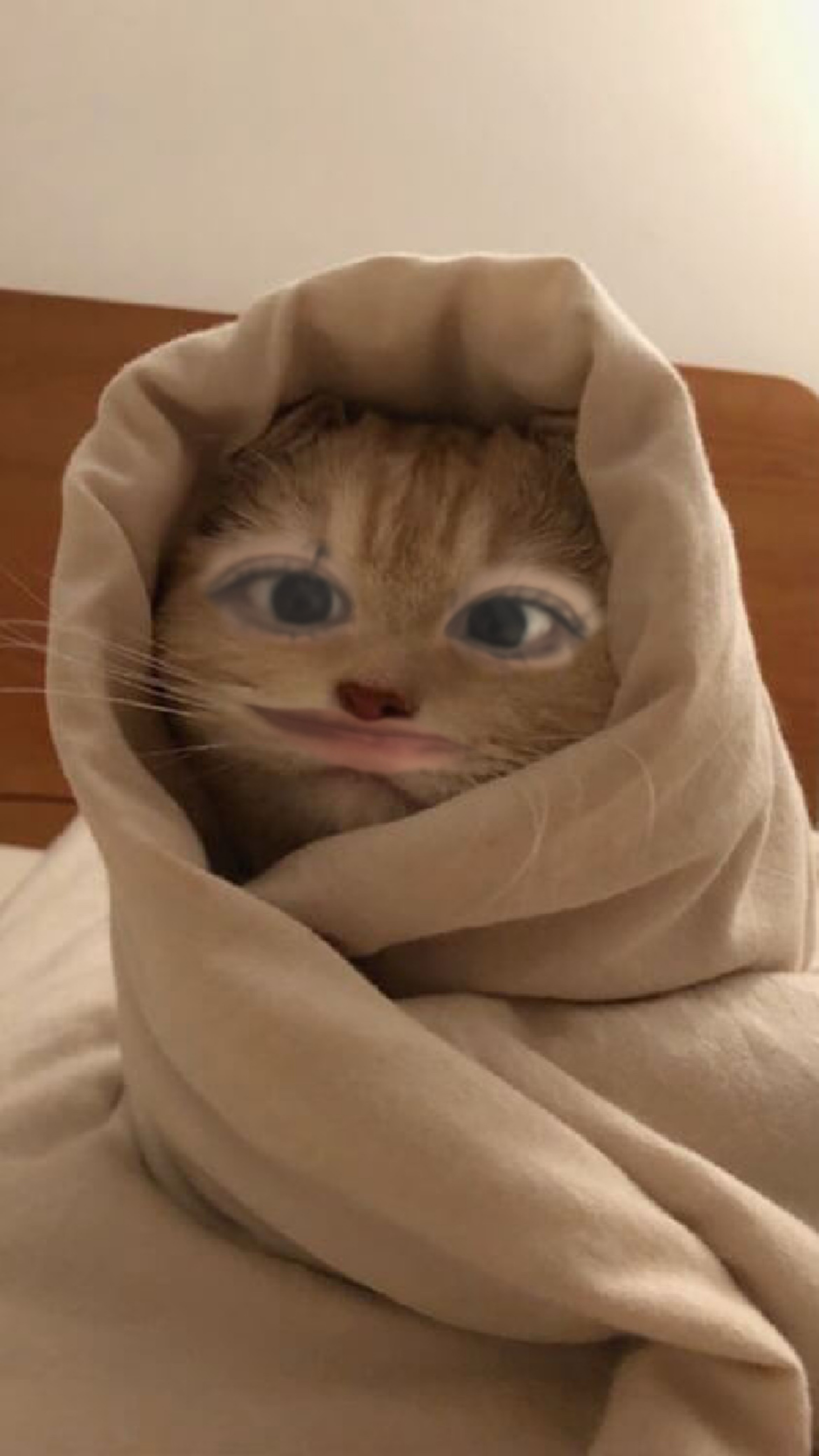 暇だから相手してください☹️