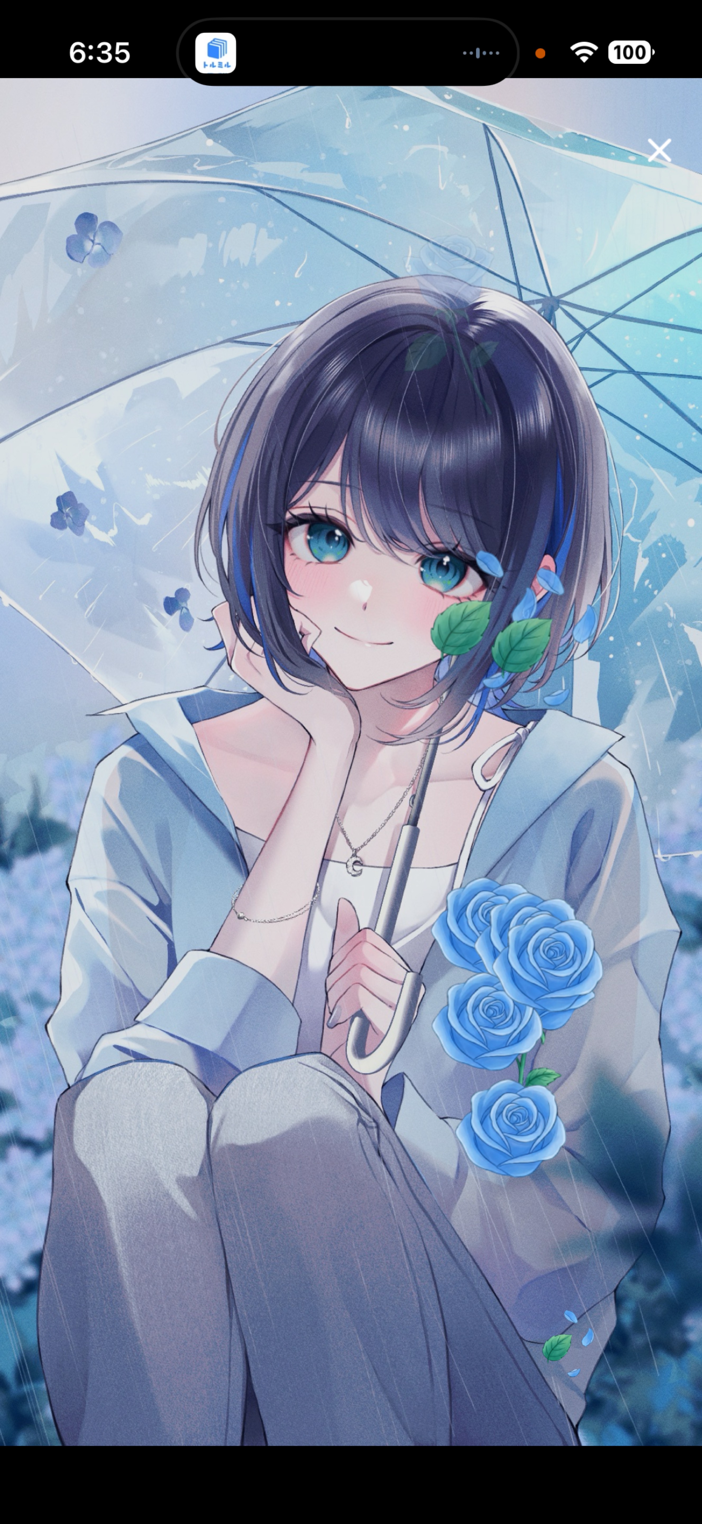 おはよう30分☔️月曜日雨だ〜