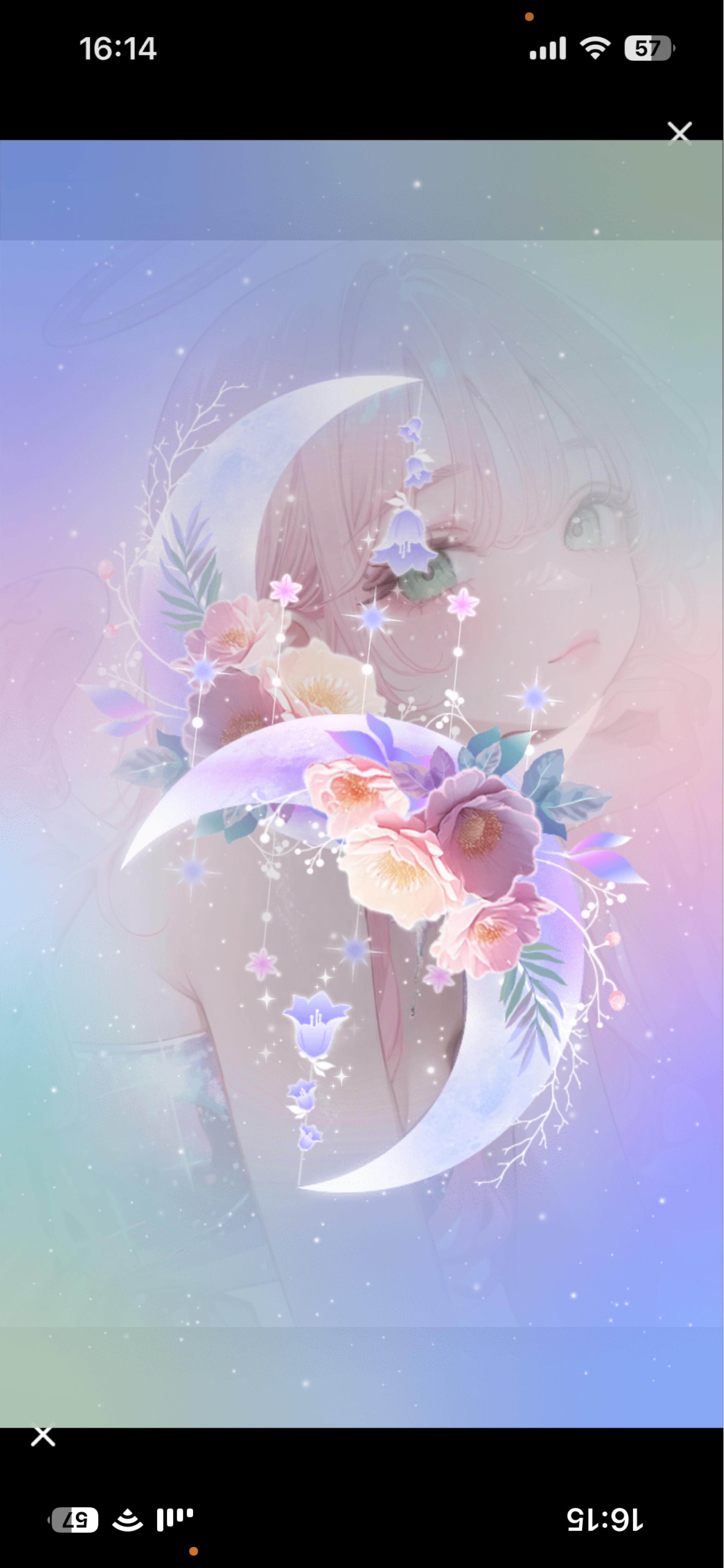お友達探し💫
