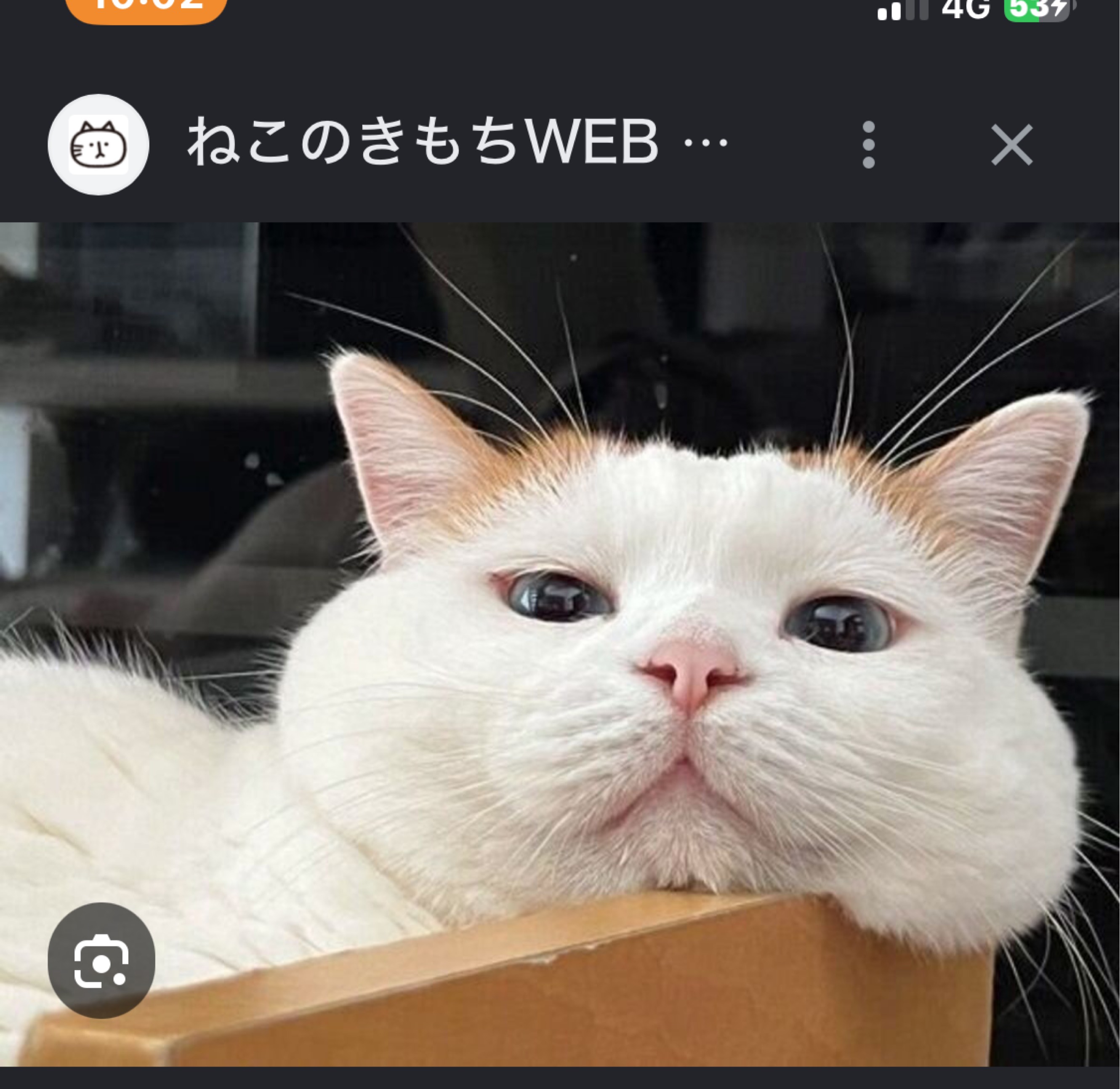 おはよ( ¯꒳¯ )ᐝ