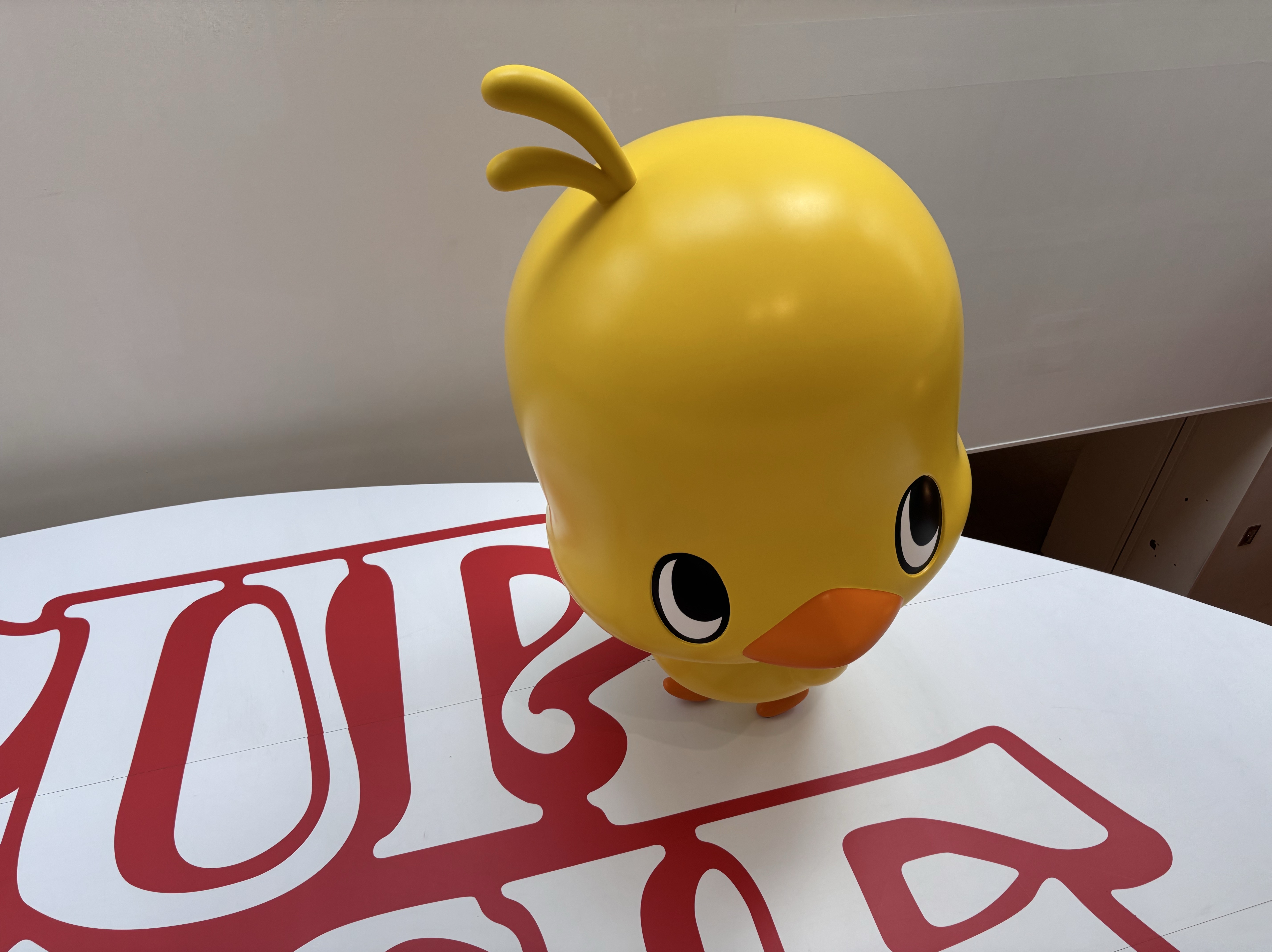 お勉強枠
