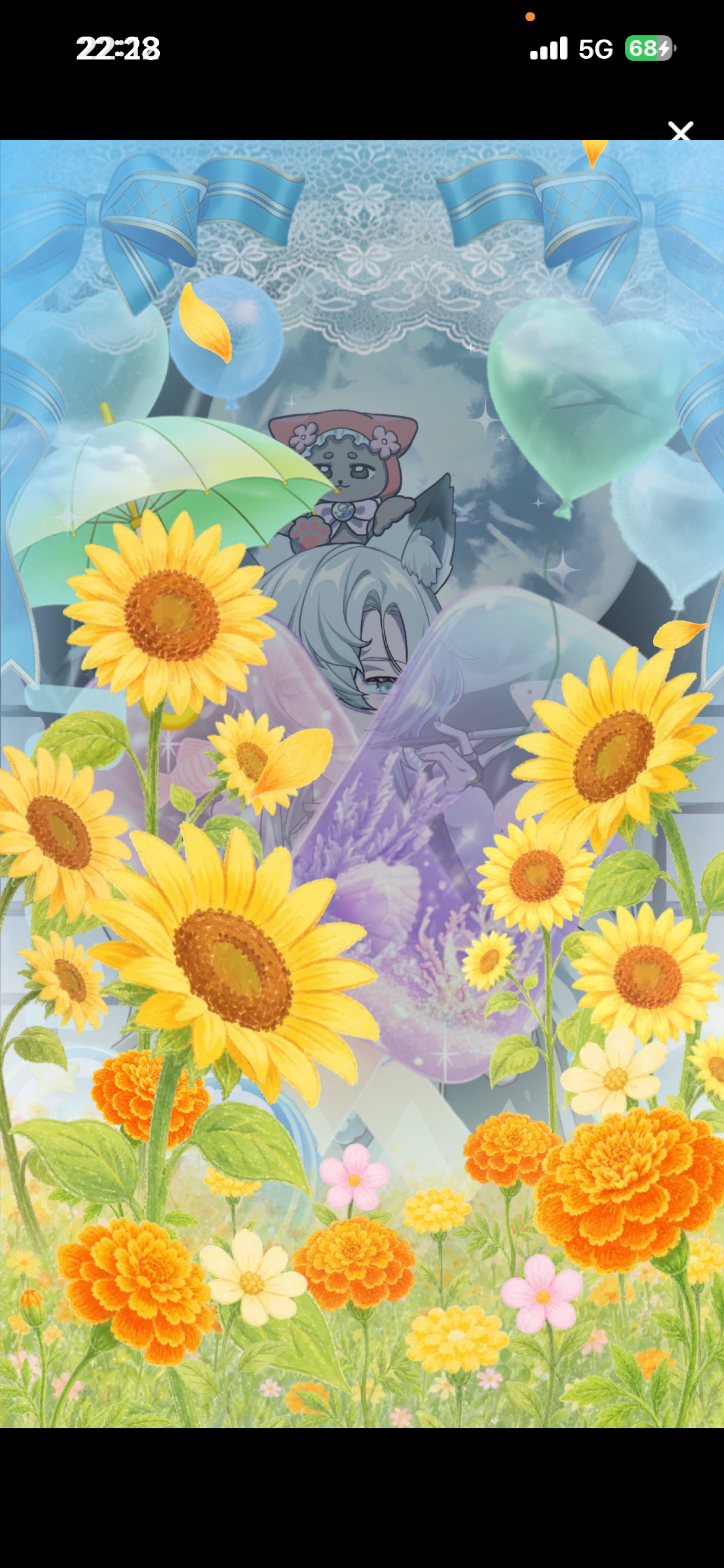 こっちみてきいて