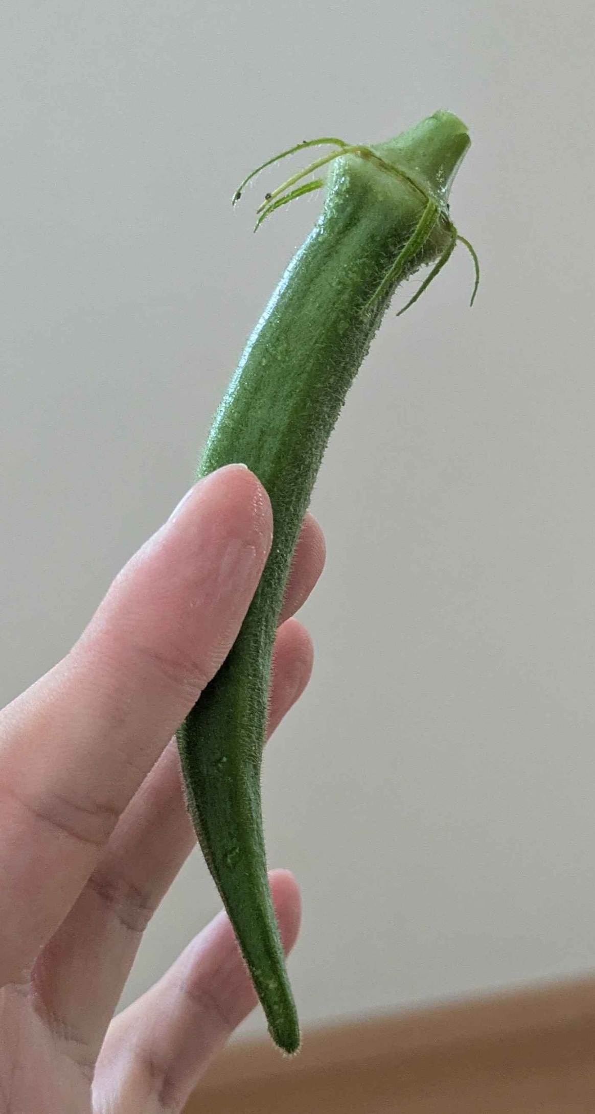 目合ったでしょ？