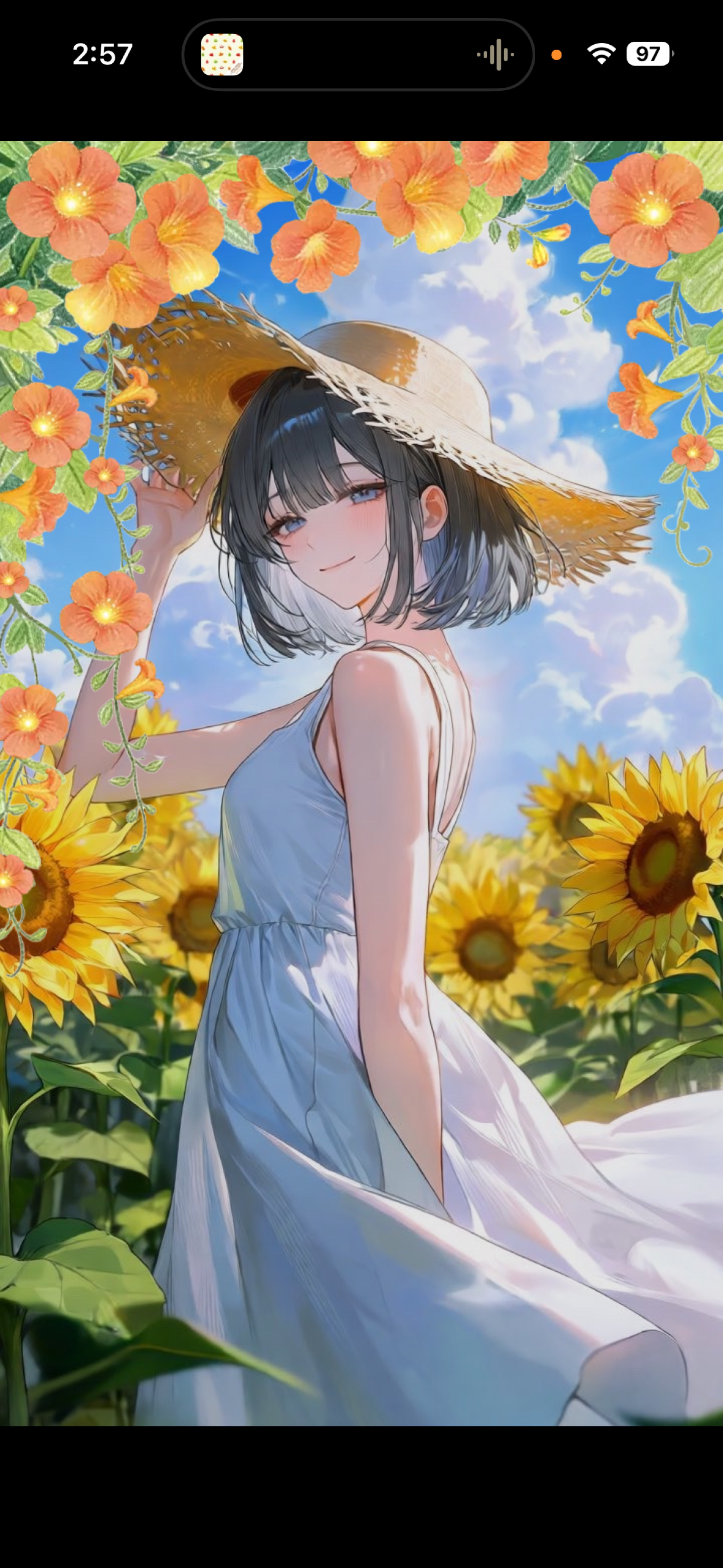 夜のひと笑い ’𖥦'￤初潜◎
