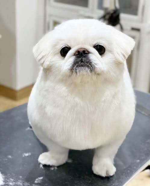 ひますぎていて