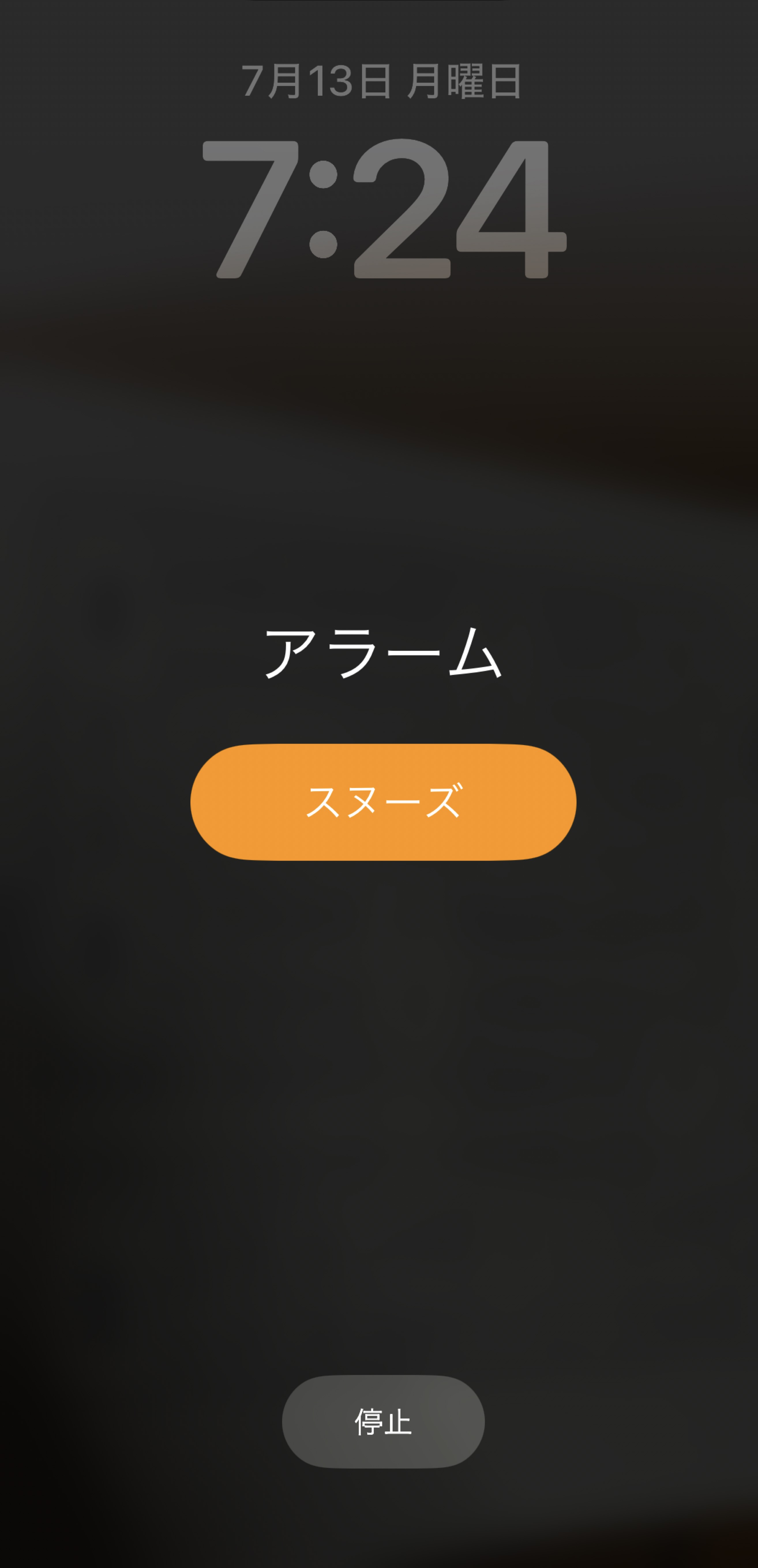 勉強してる