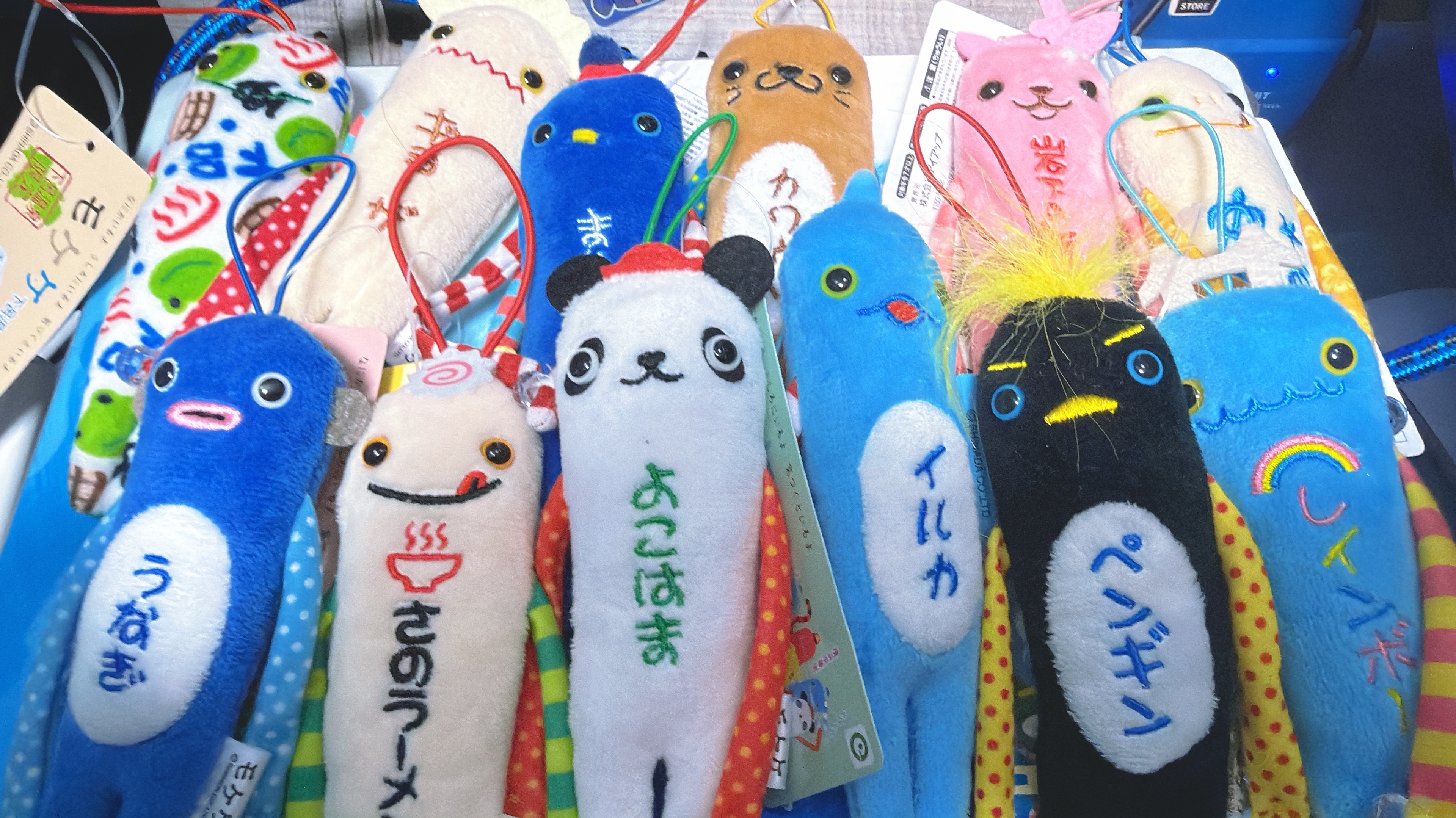 おはよう☀️