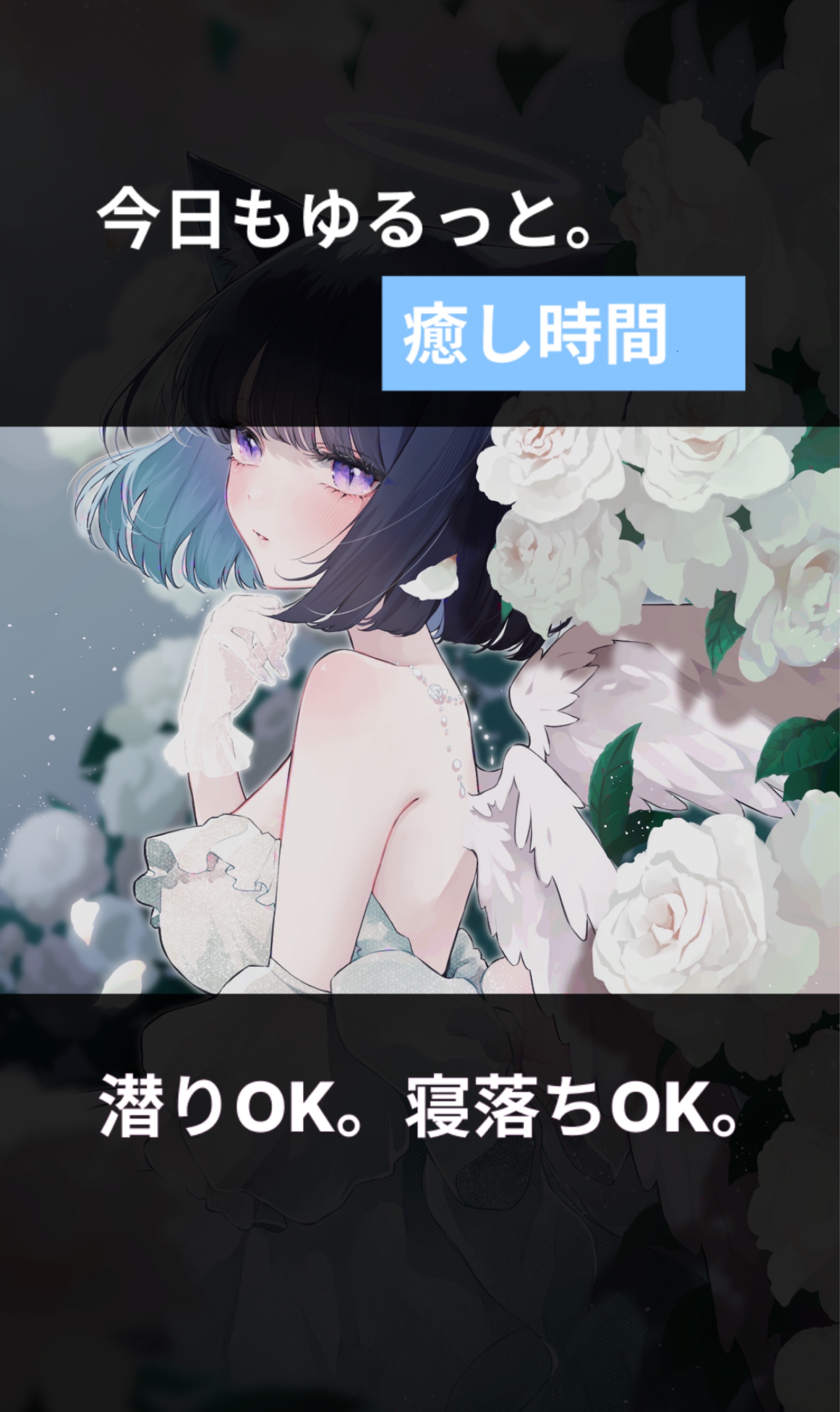お昼をお知らせします⋆͛📢⋆
