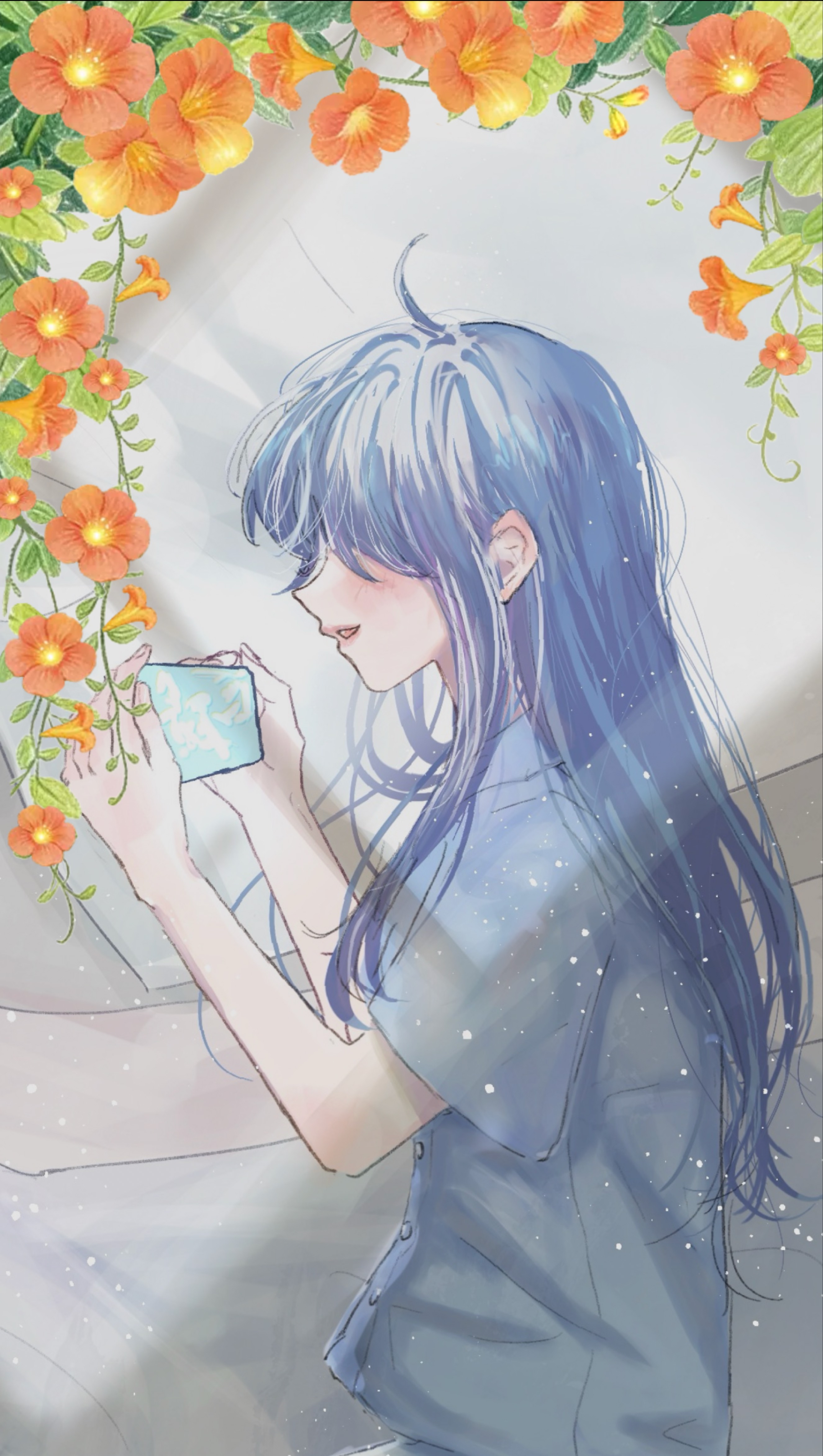 夏の朝のお時間
