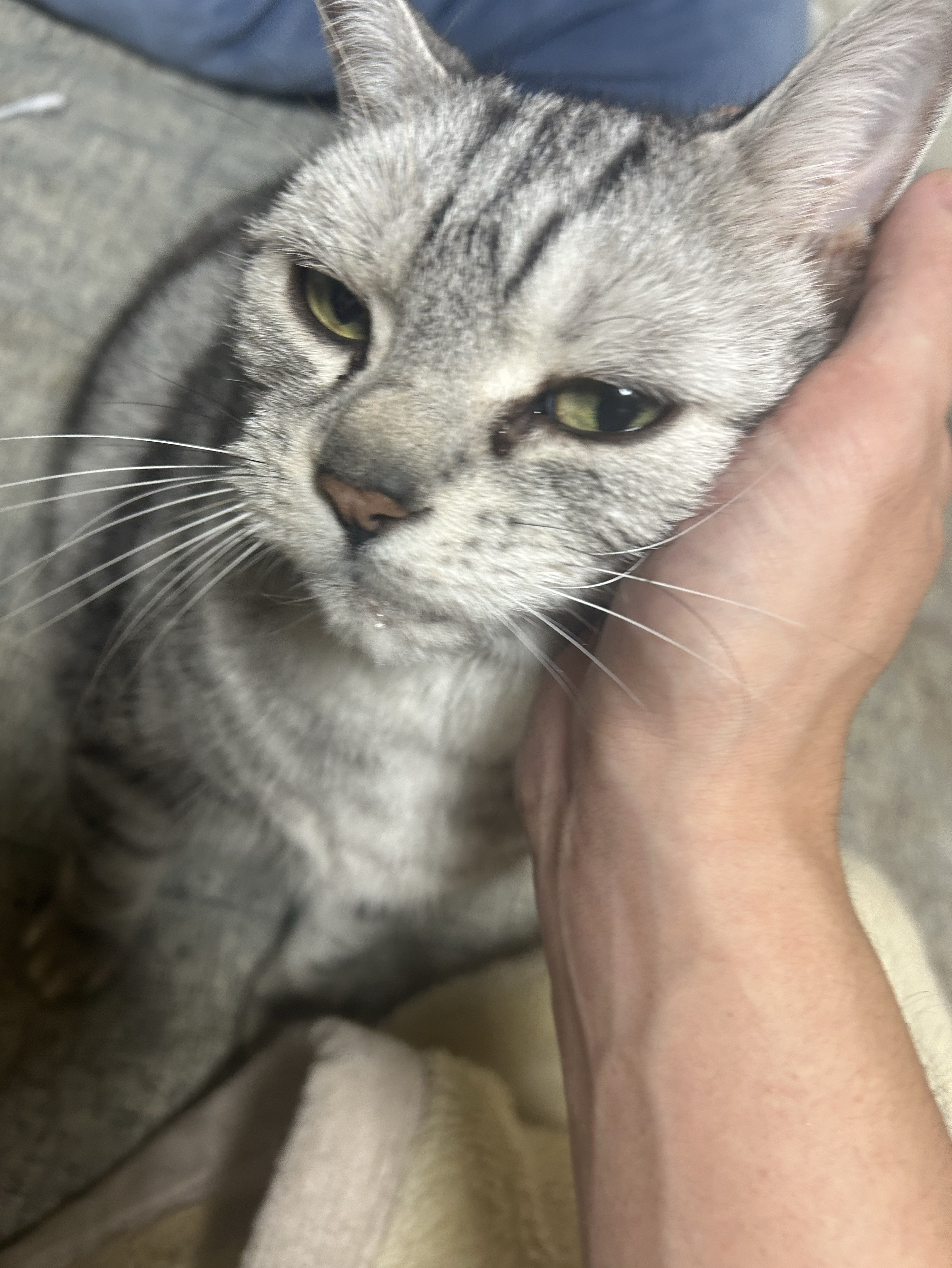 暇じゃんね😪