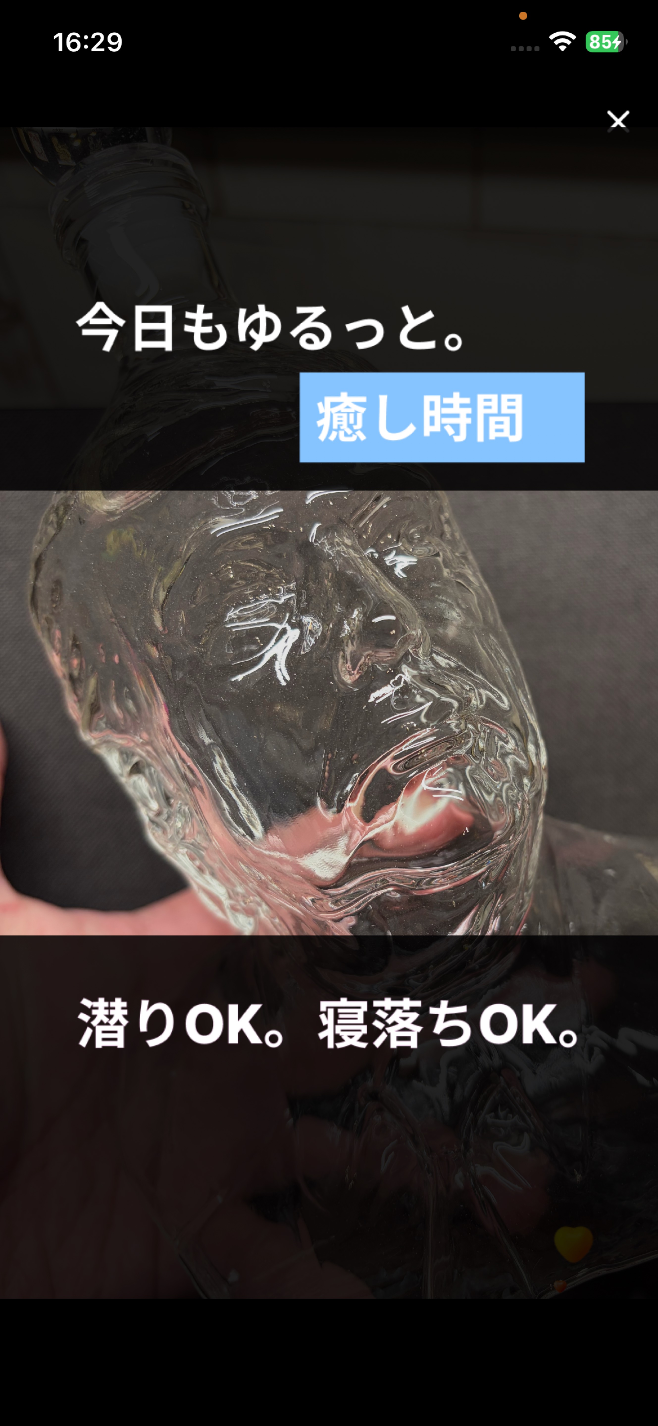 目、あったね👀❕