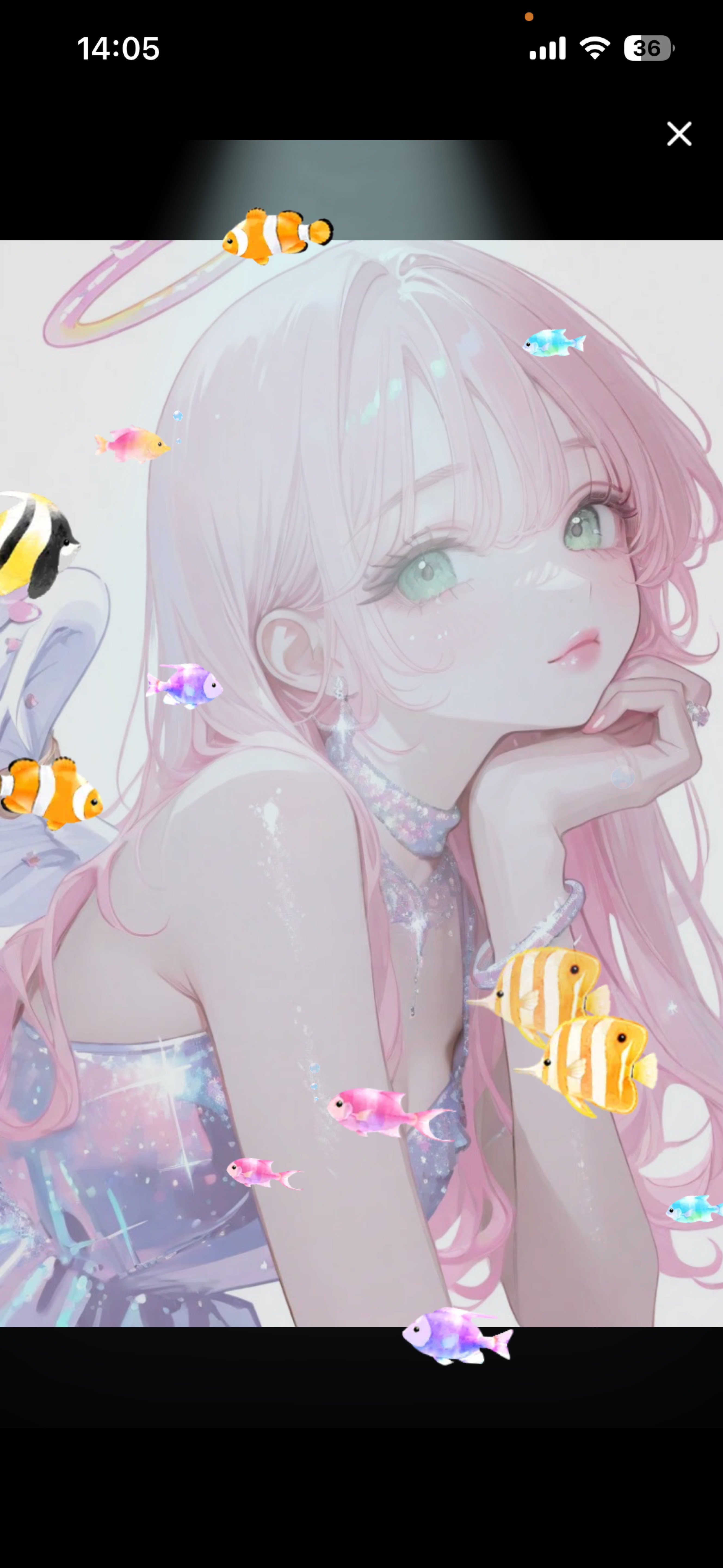 夏だー！🎐🩵