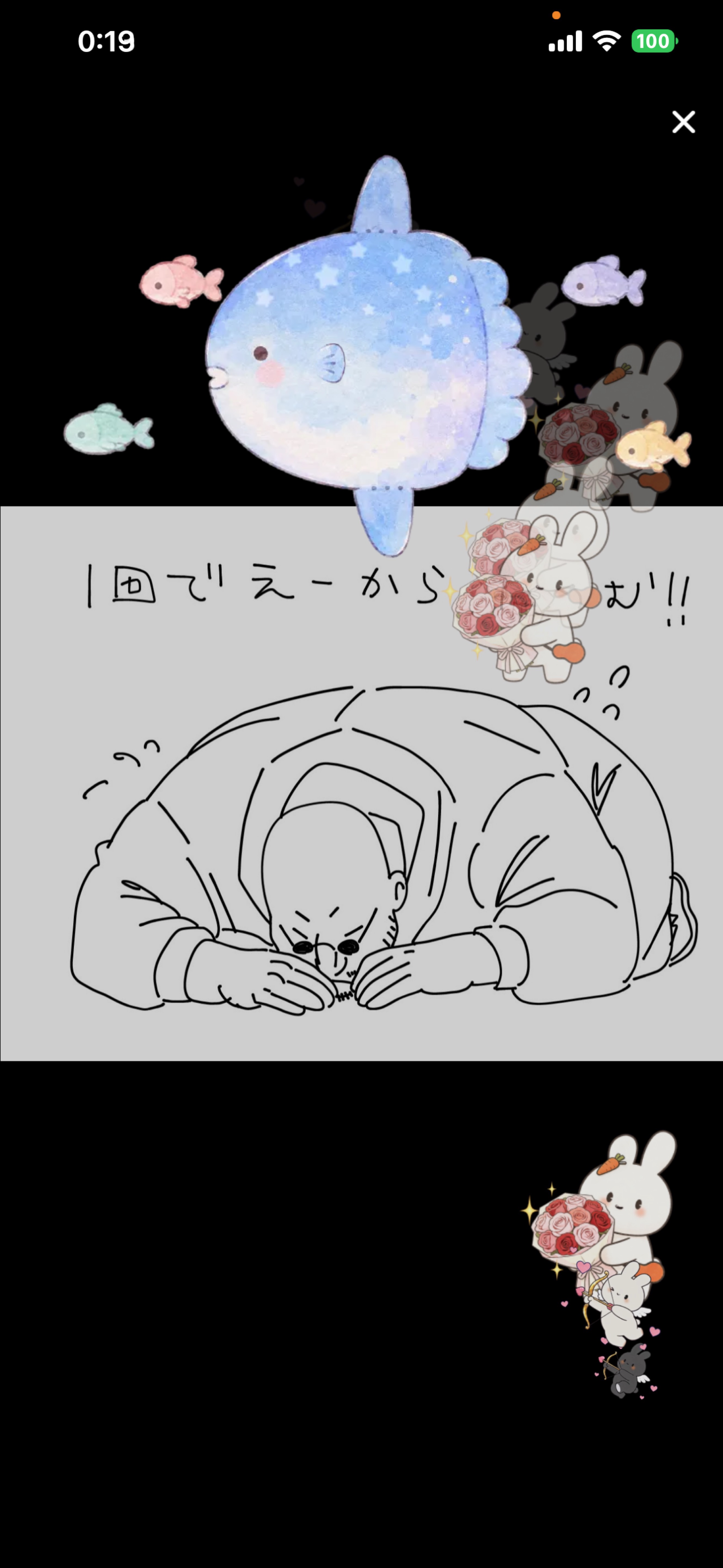 定時🐨 ey
