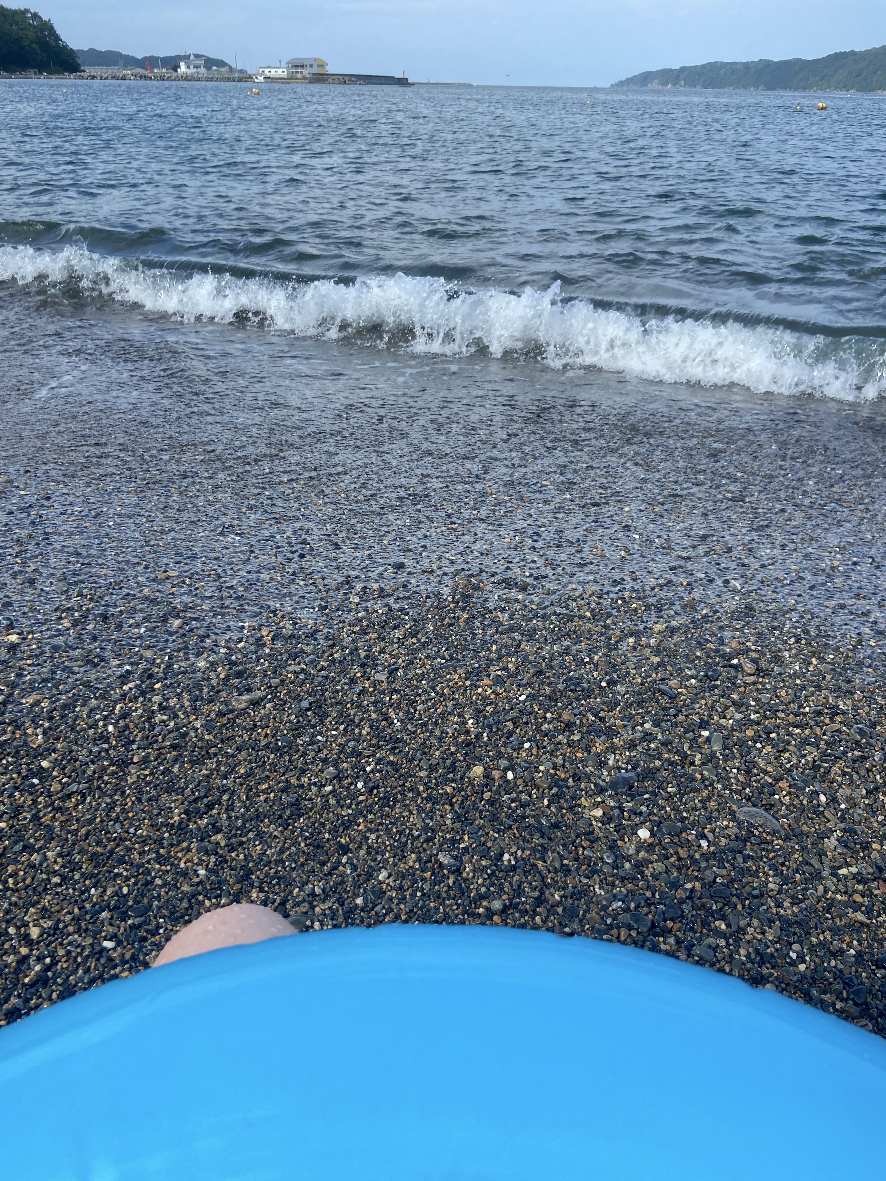 【1h】海に来ています🌊🐚🪸🐬🫧‪