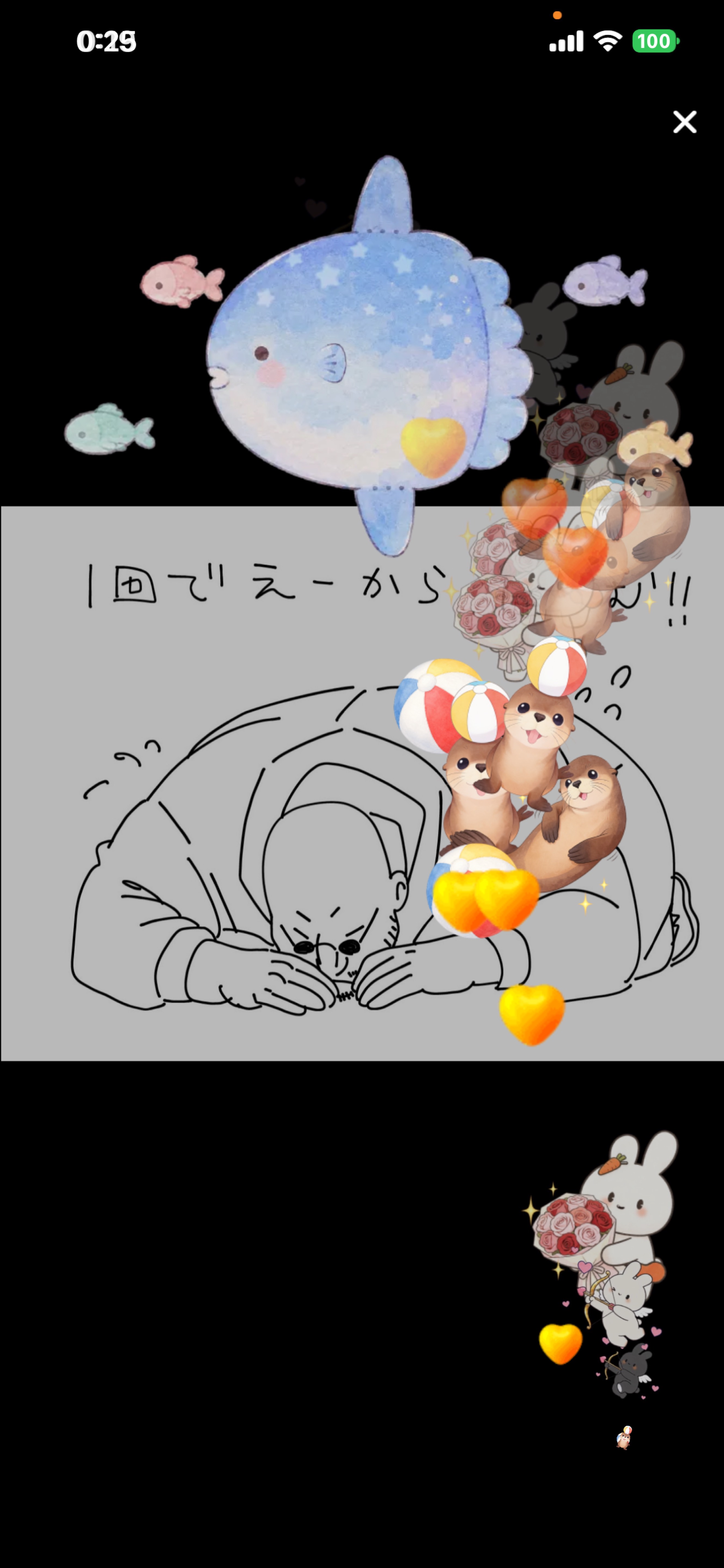 定時🐨 ey