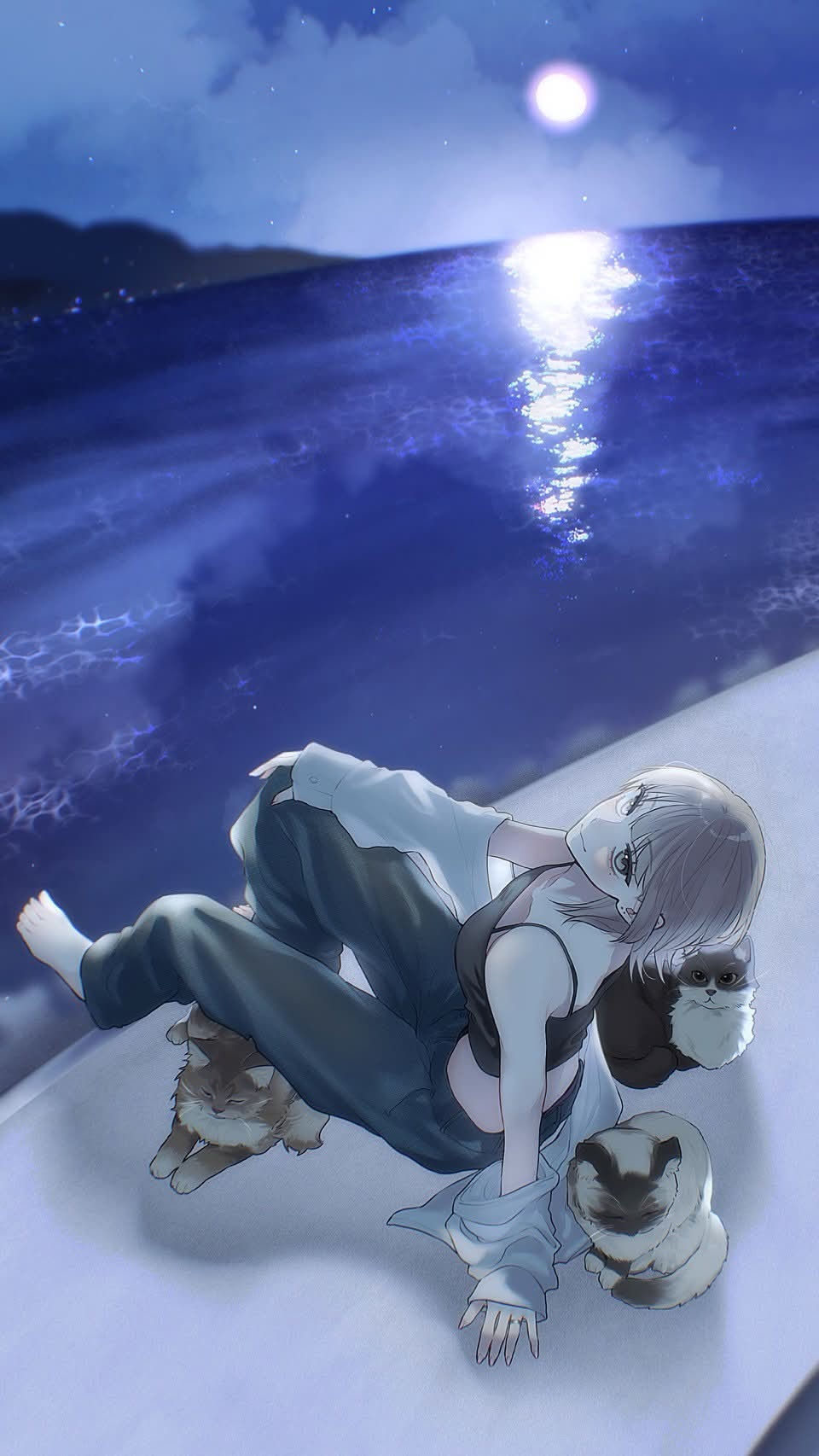 1h 配信します