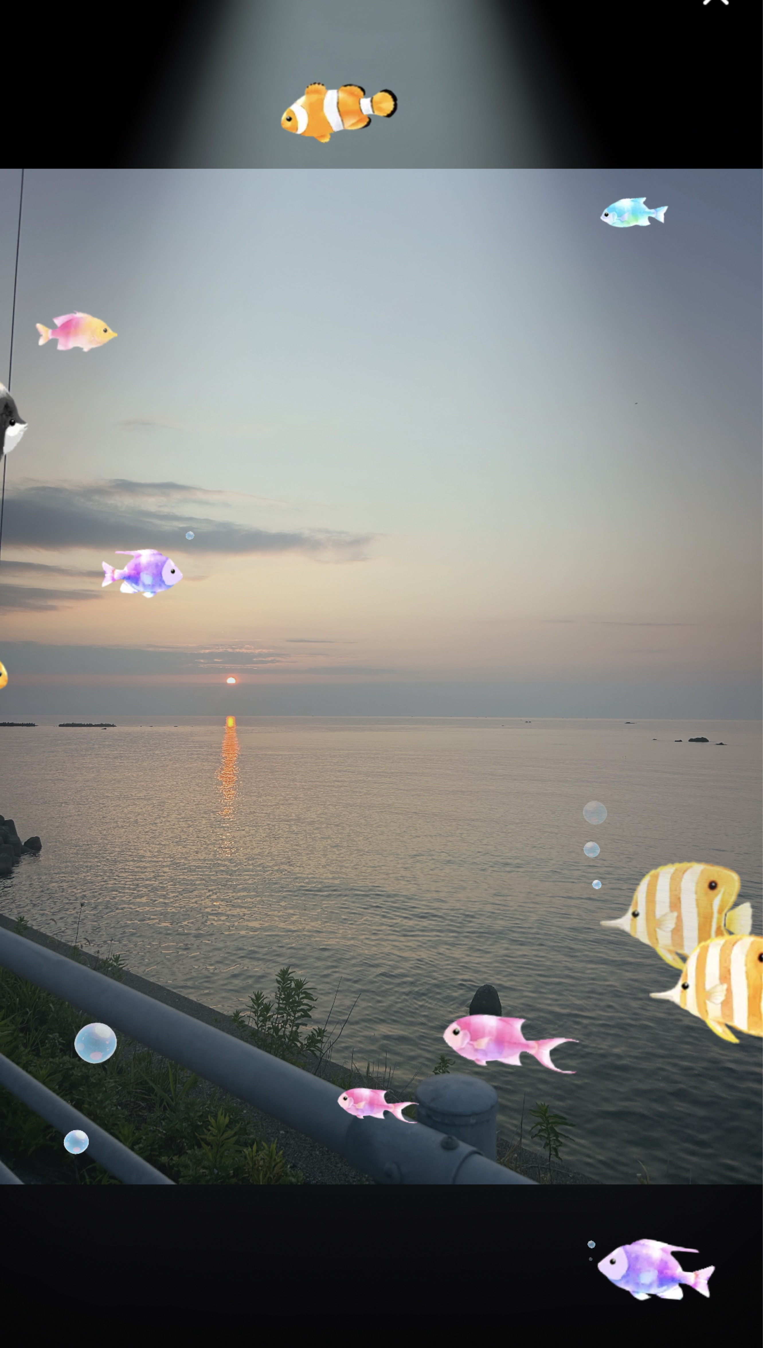 ミッション( ¯꒳¯ )ᐝ