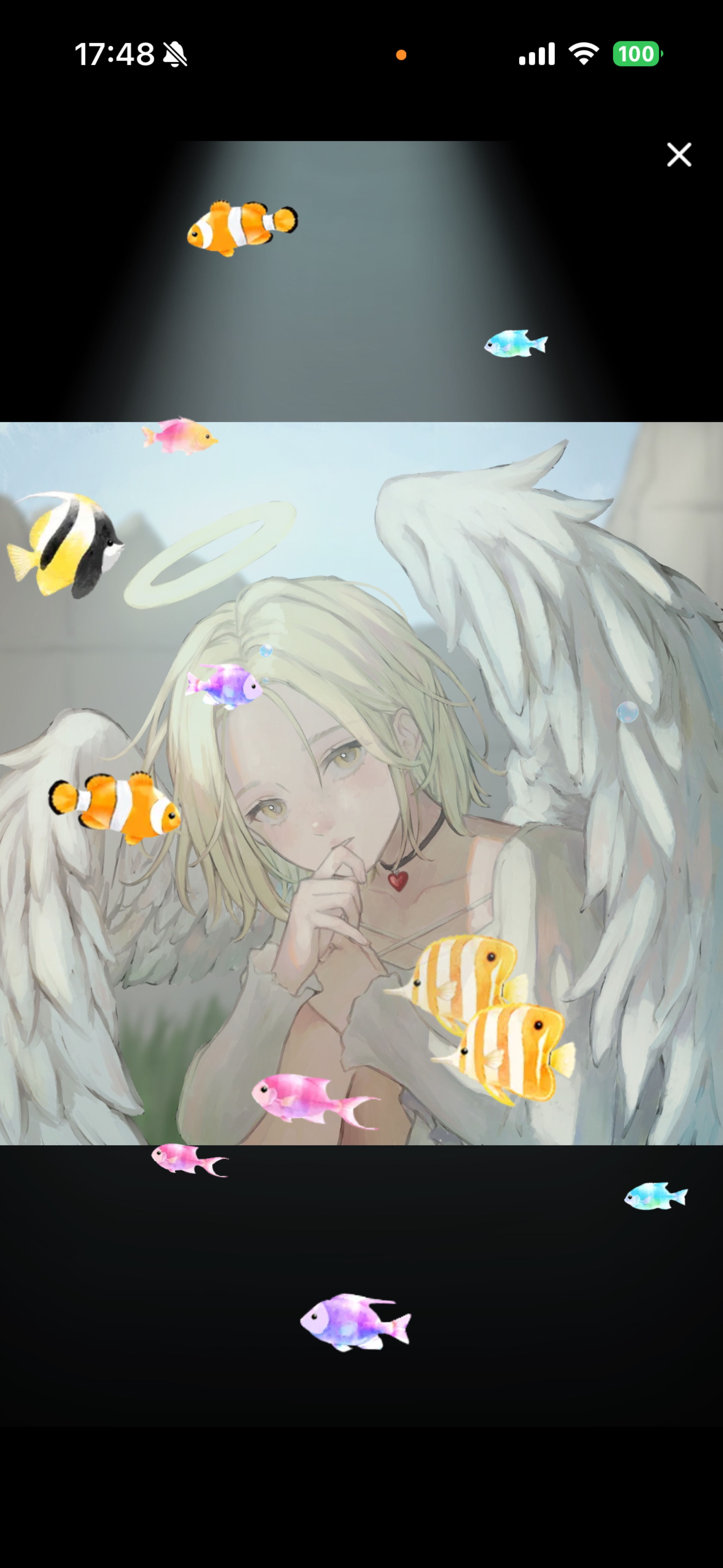 ちょうどいい枠  .
