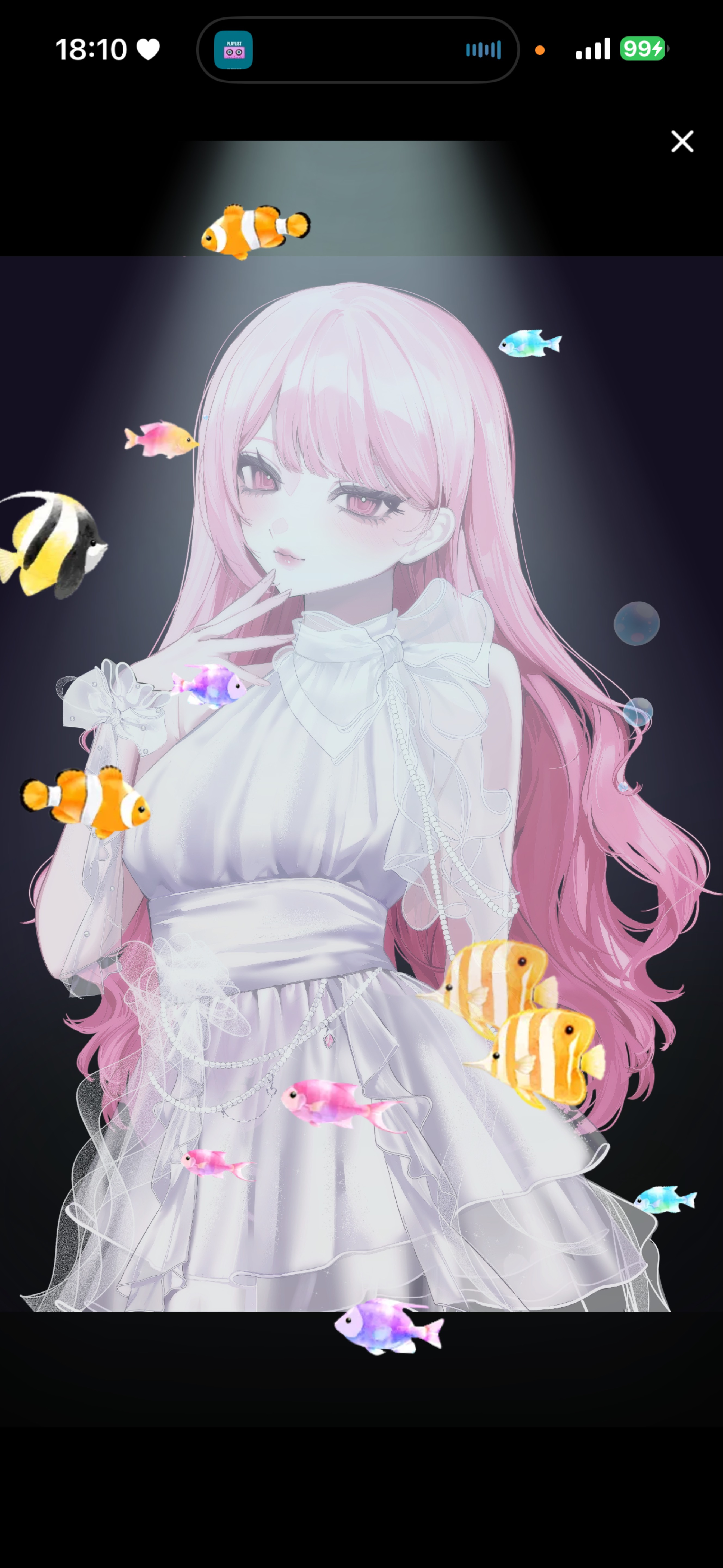 -18:15┊雑談🧜🏻‍♀️