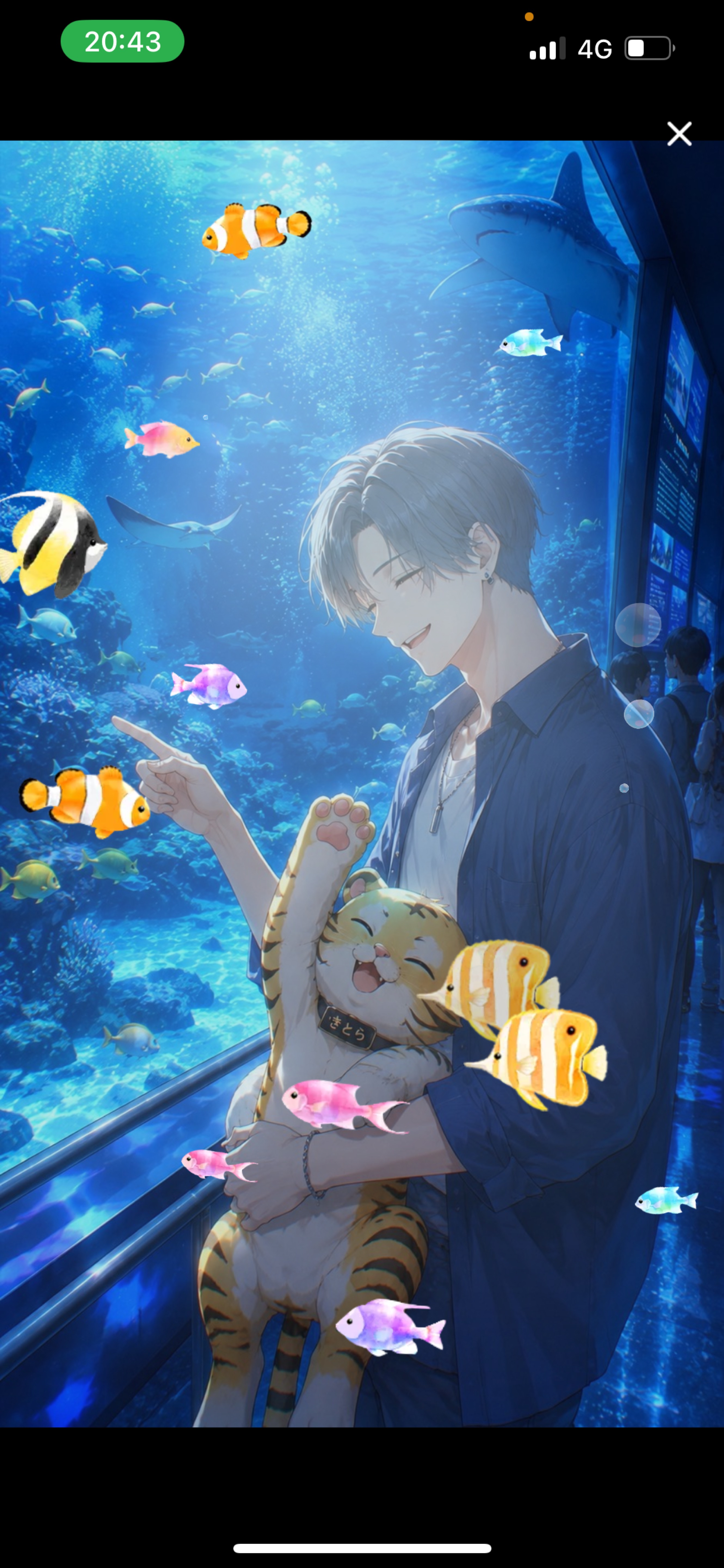初見〇 少し笑えたら 🐯
