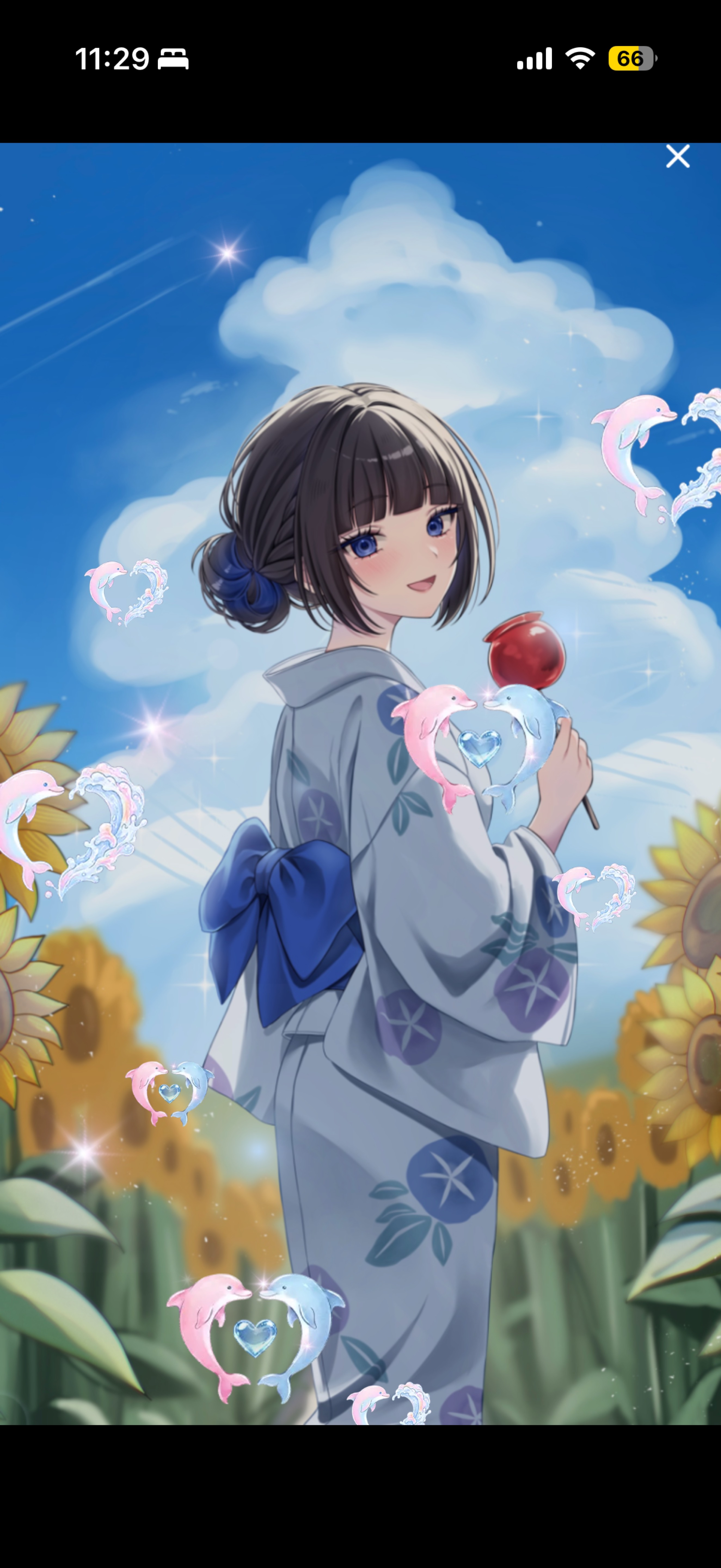 初見さんください