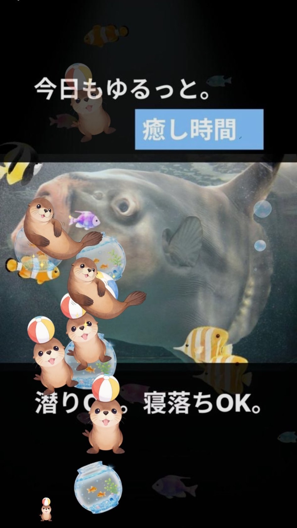 2h まっちょるよ🌙