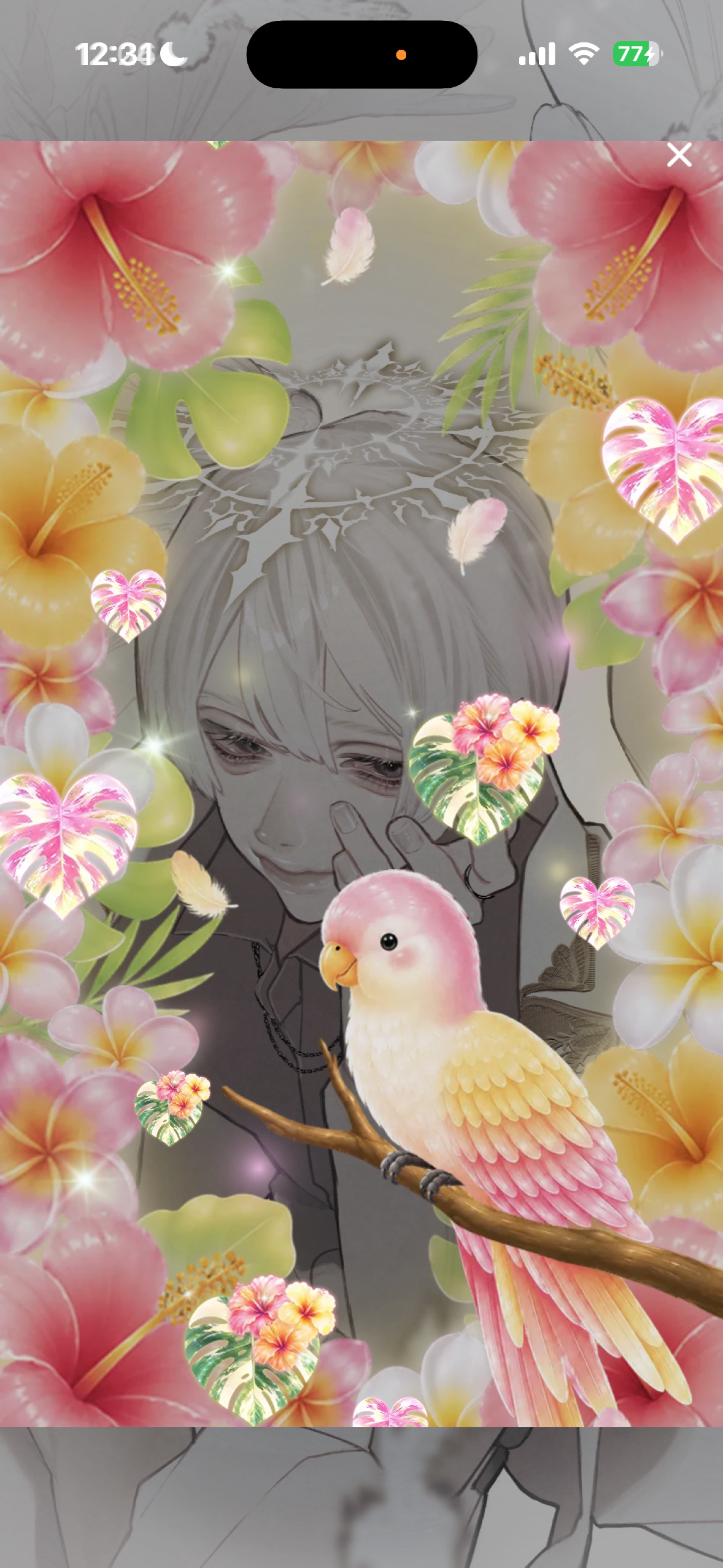シンスプ見たい!!!!!!!!!!!!