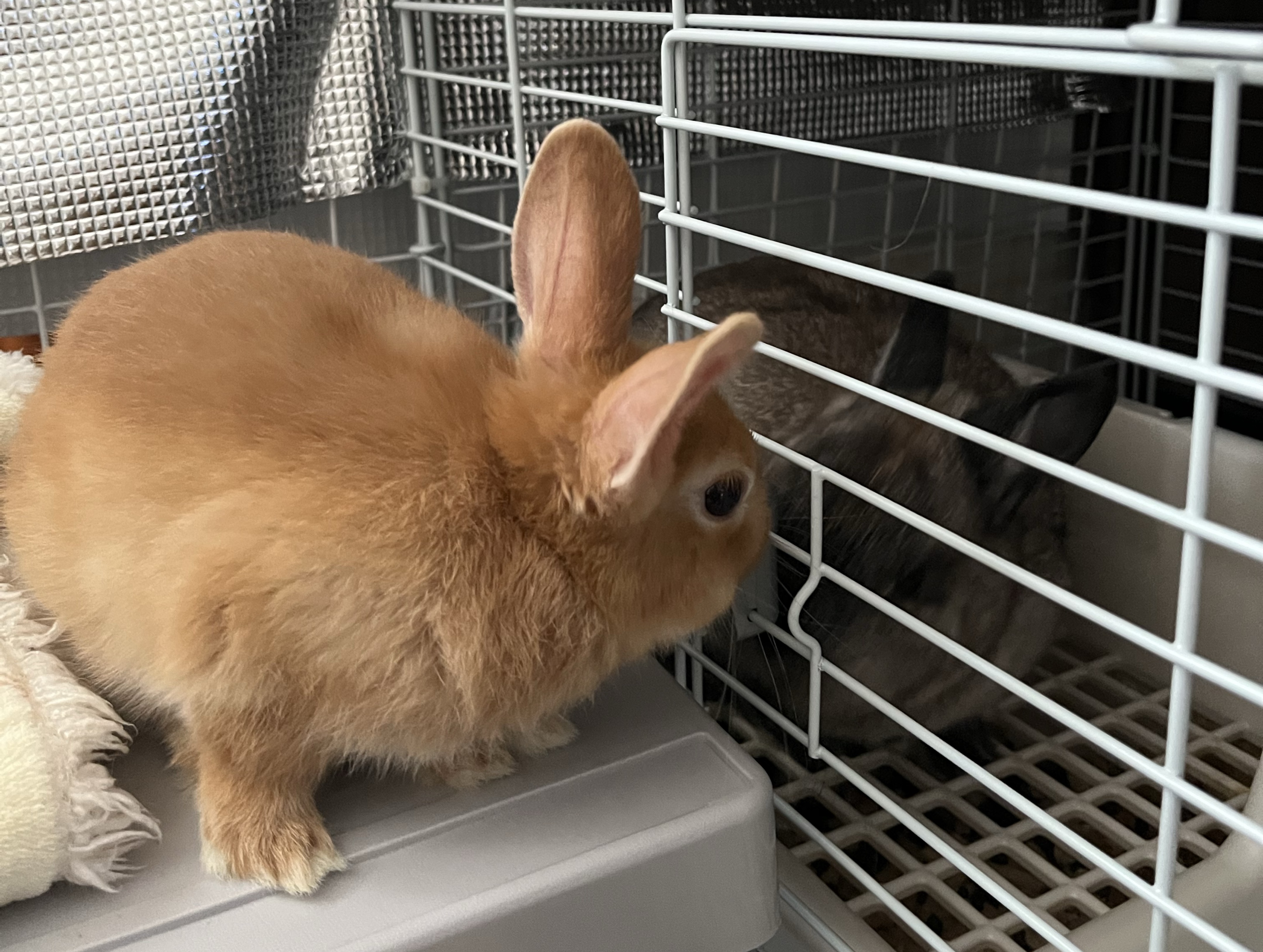 いちじかん