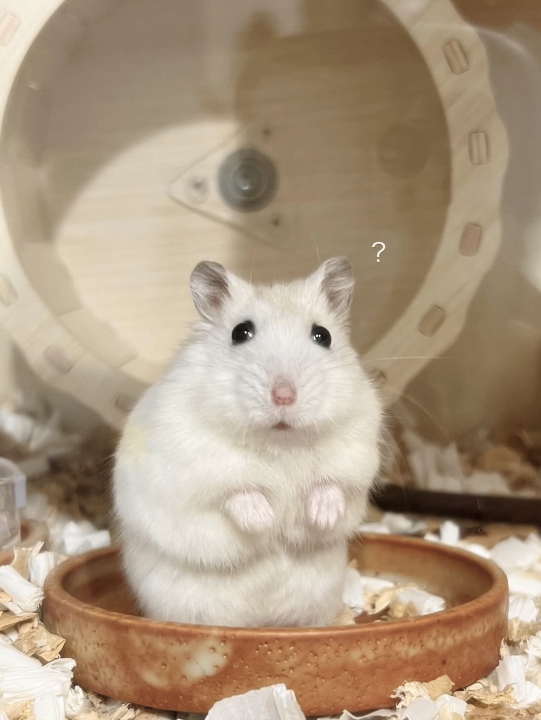 逃げ方と向き合い方