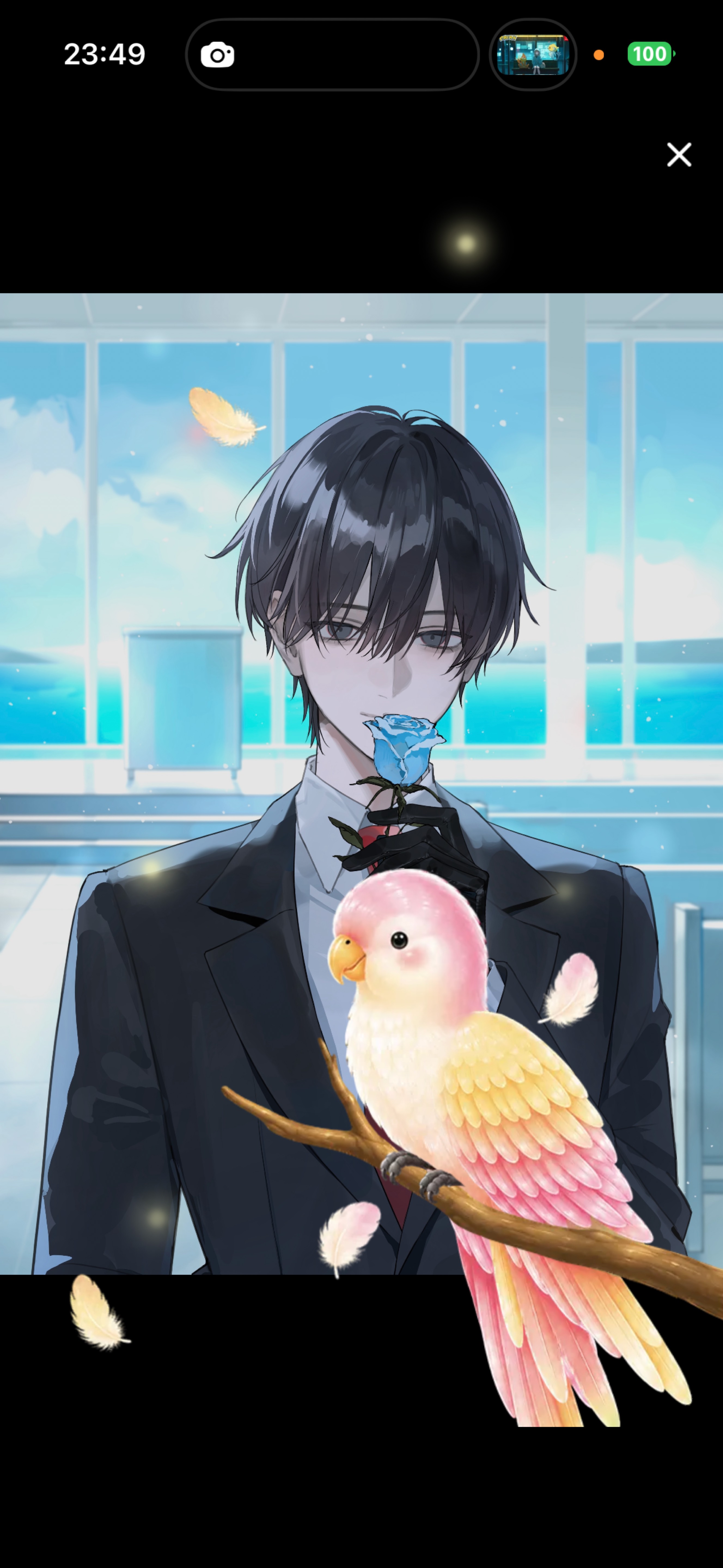 [優しい枠] スーパー追い込み枠💐