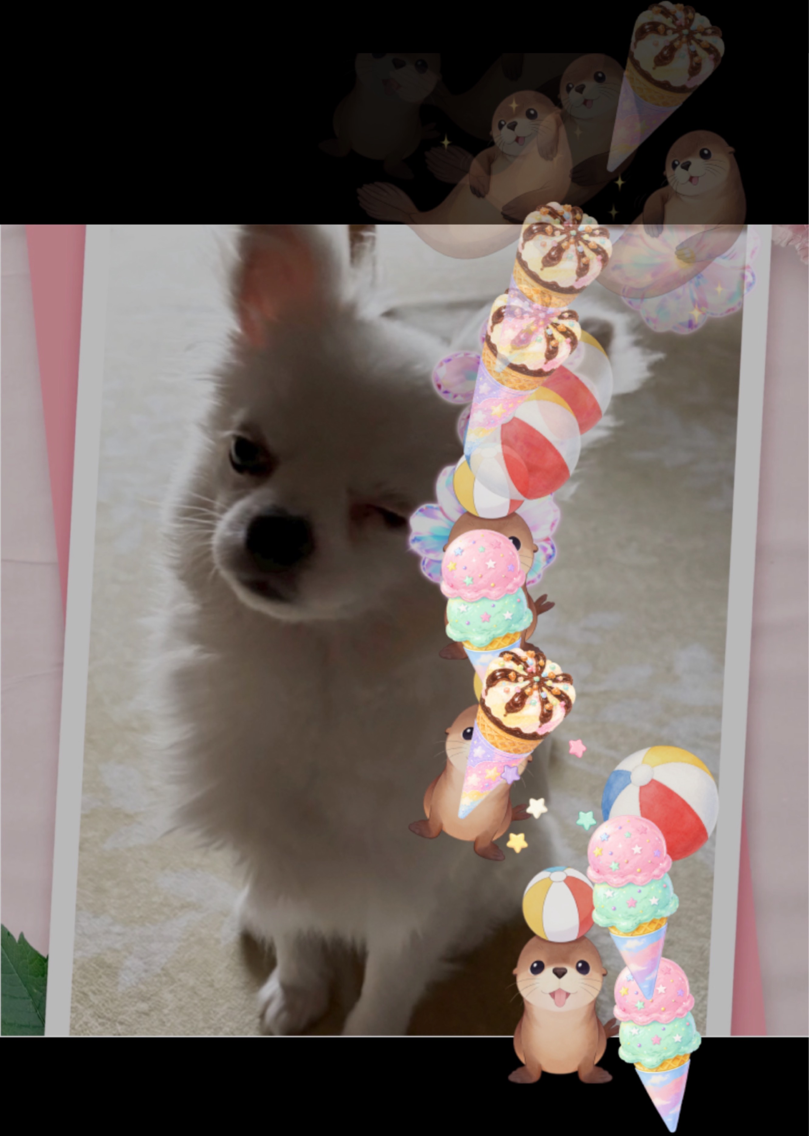 こんにちは(*´˘`*)✨