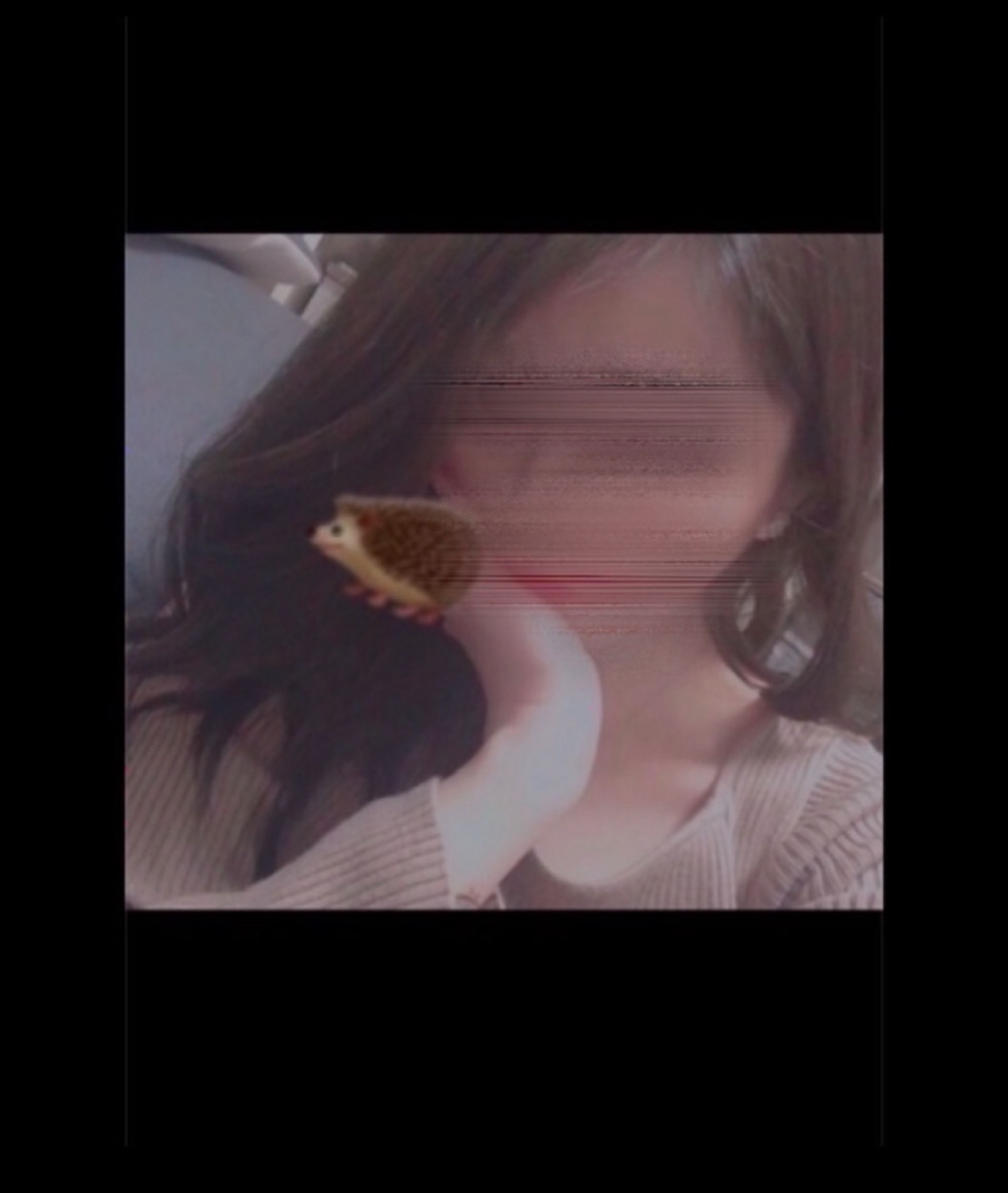 風邪っぴき