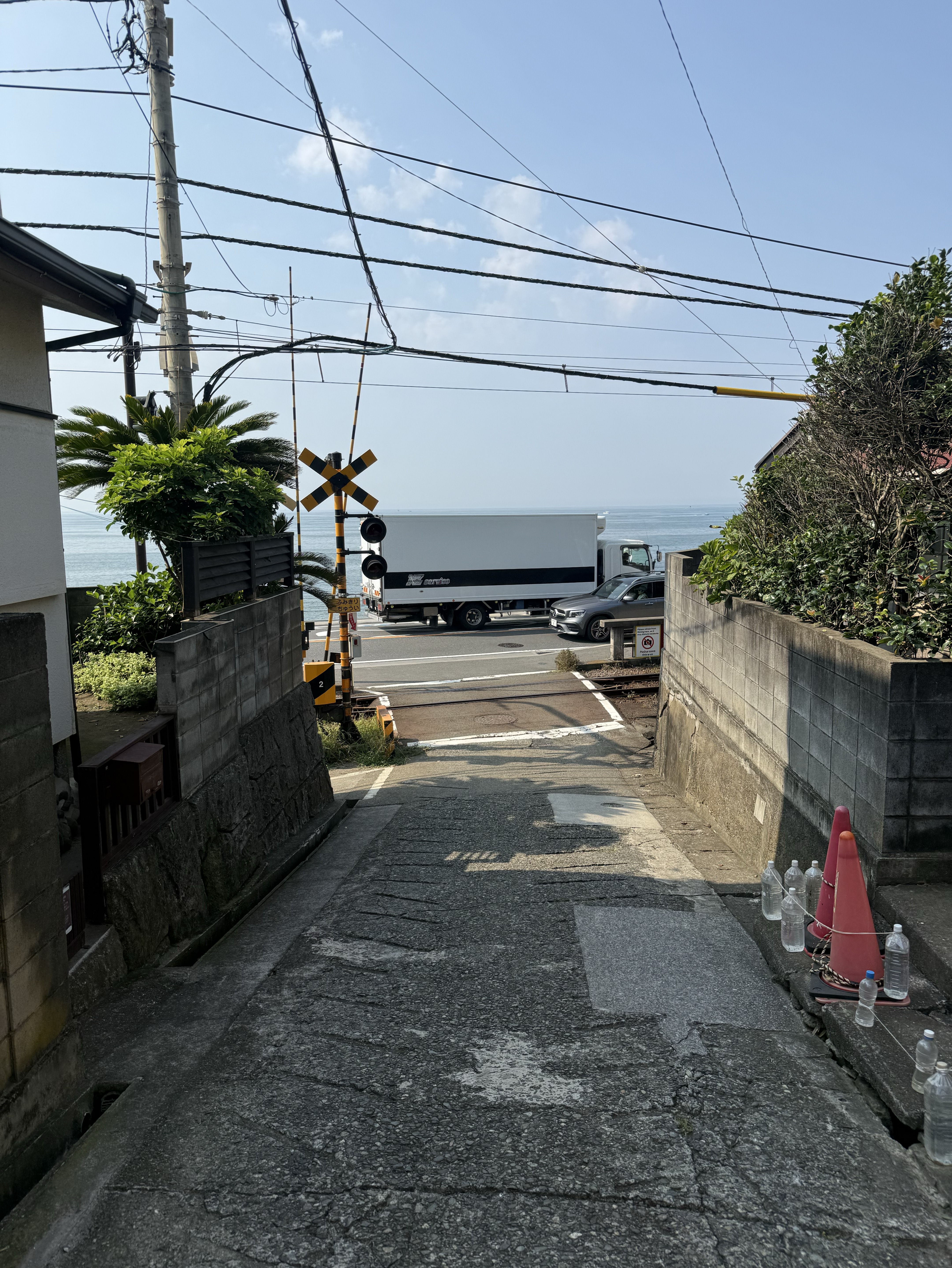 朝海枠🌊