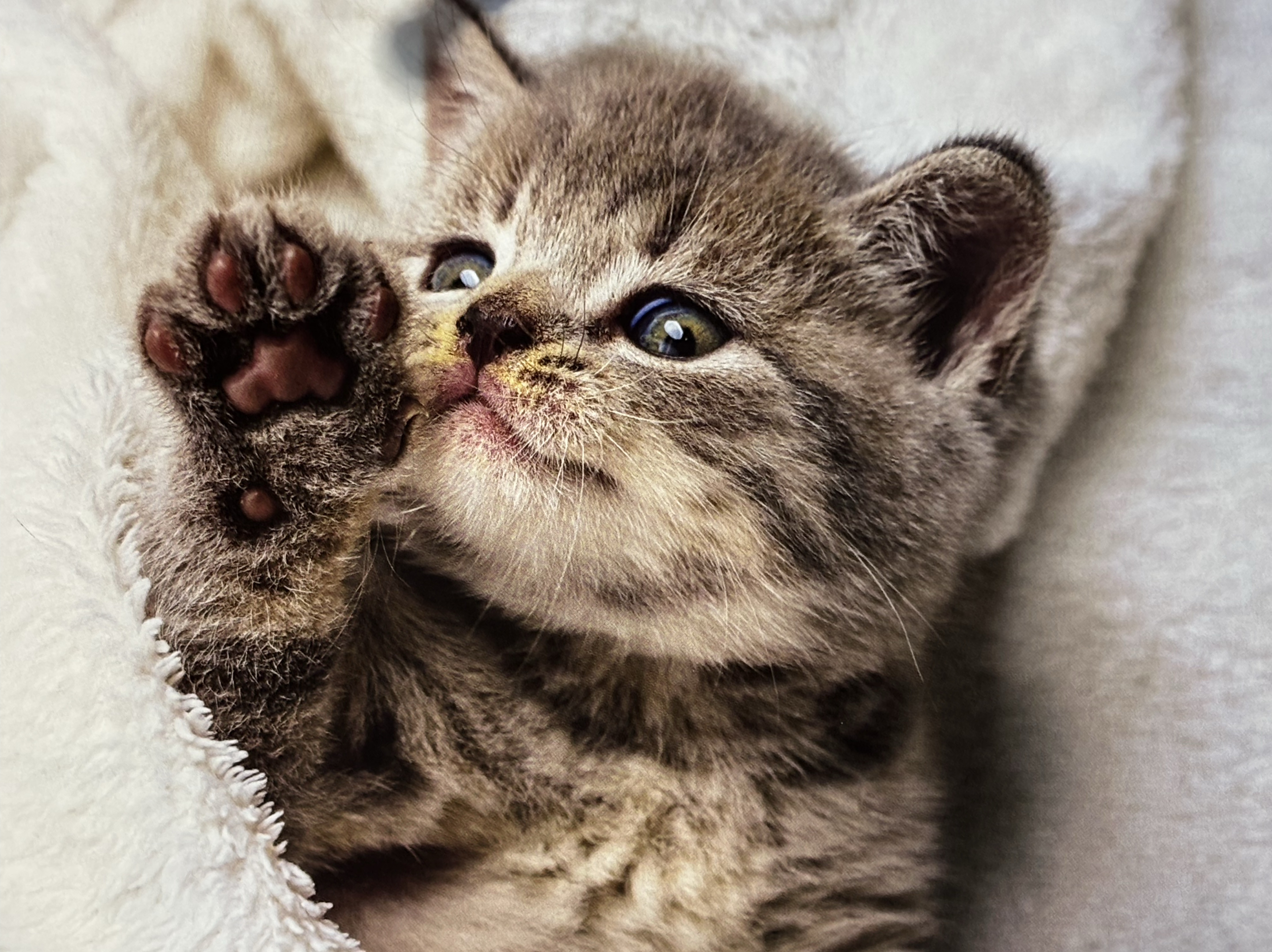 おつおつ〜😼