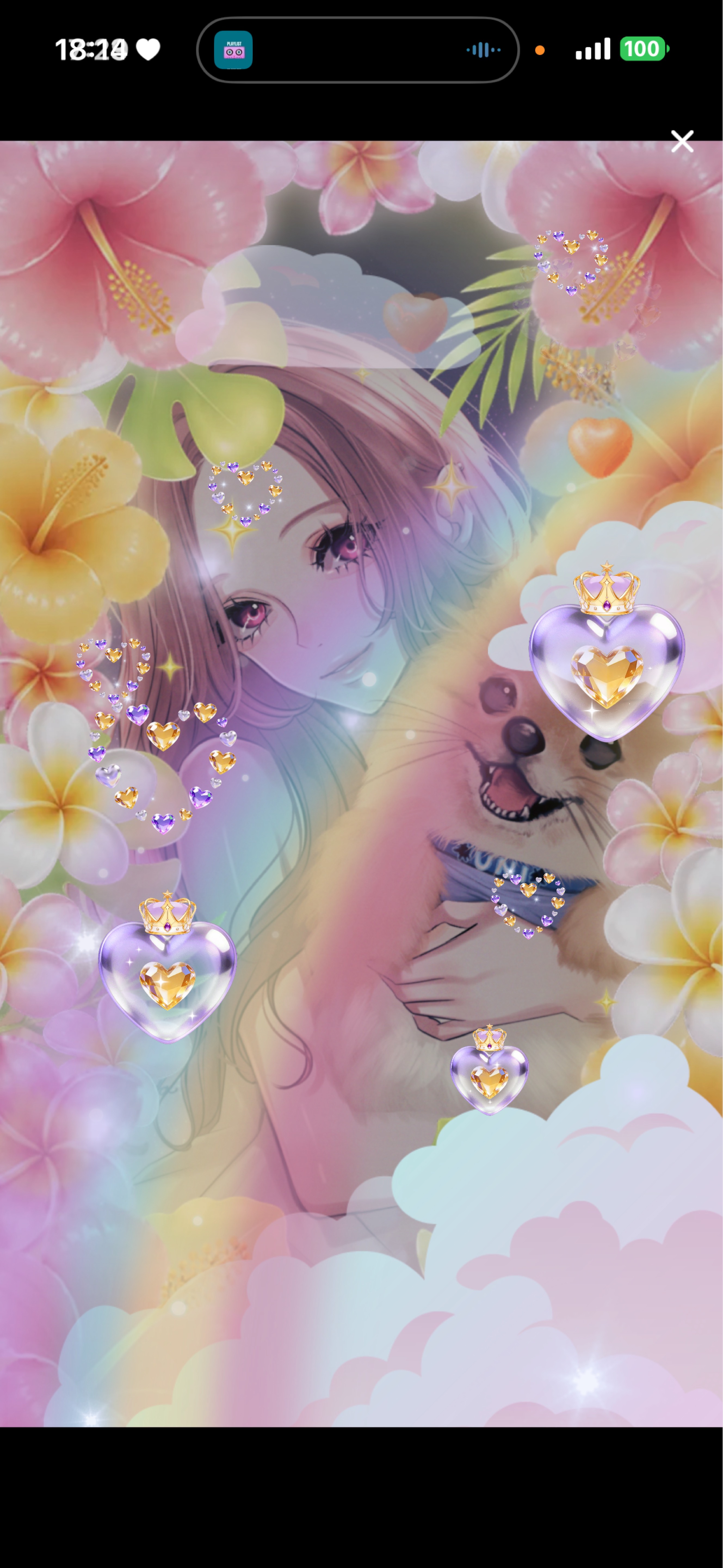 18:30までおしゃべりしよう🌺