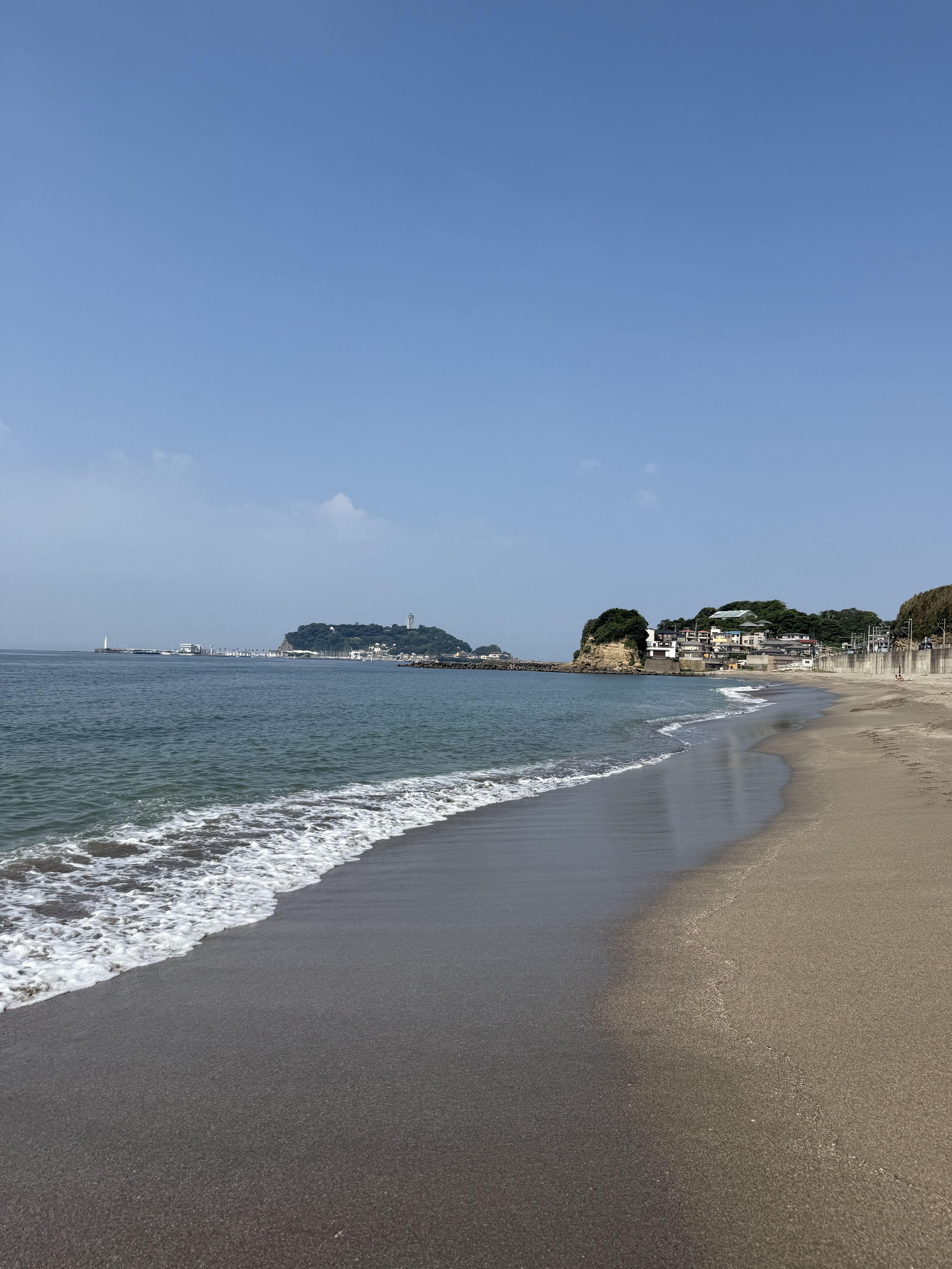 朝海枠🌊