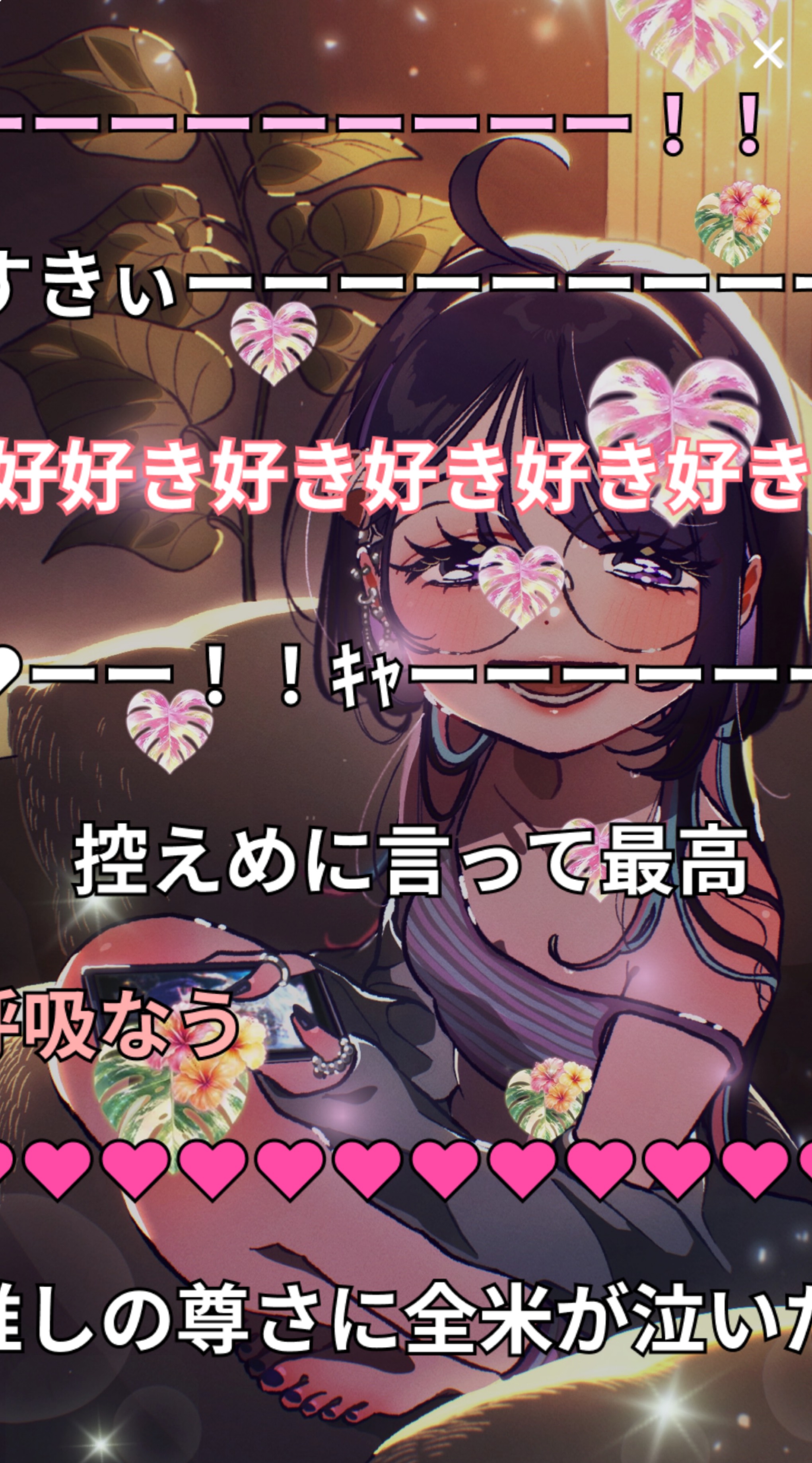 のぞいてみない？🐚