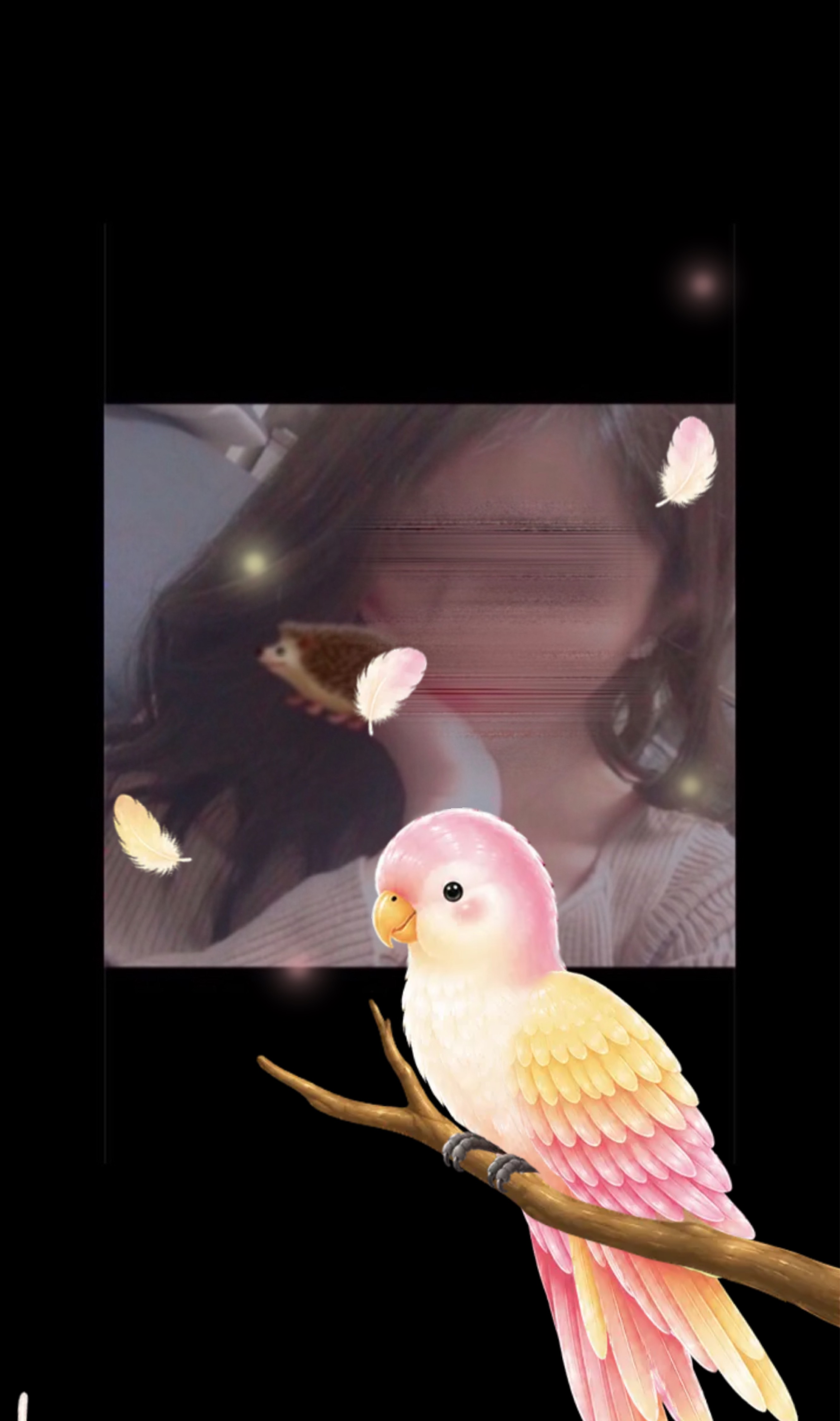 ねんね