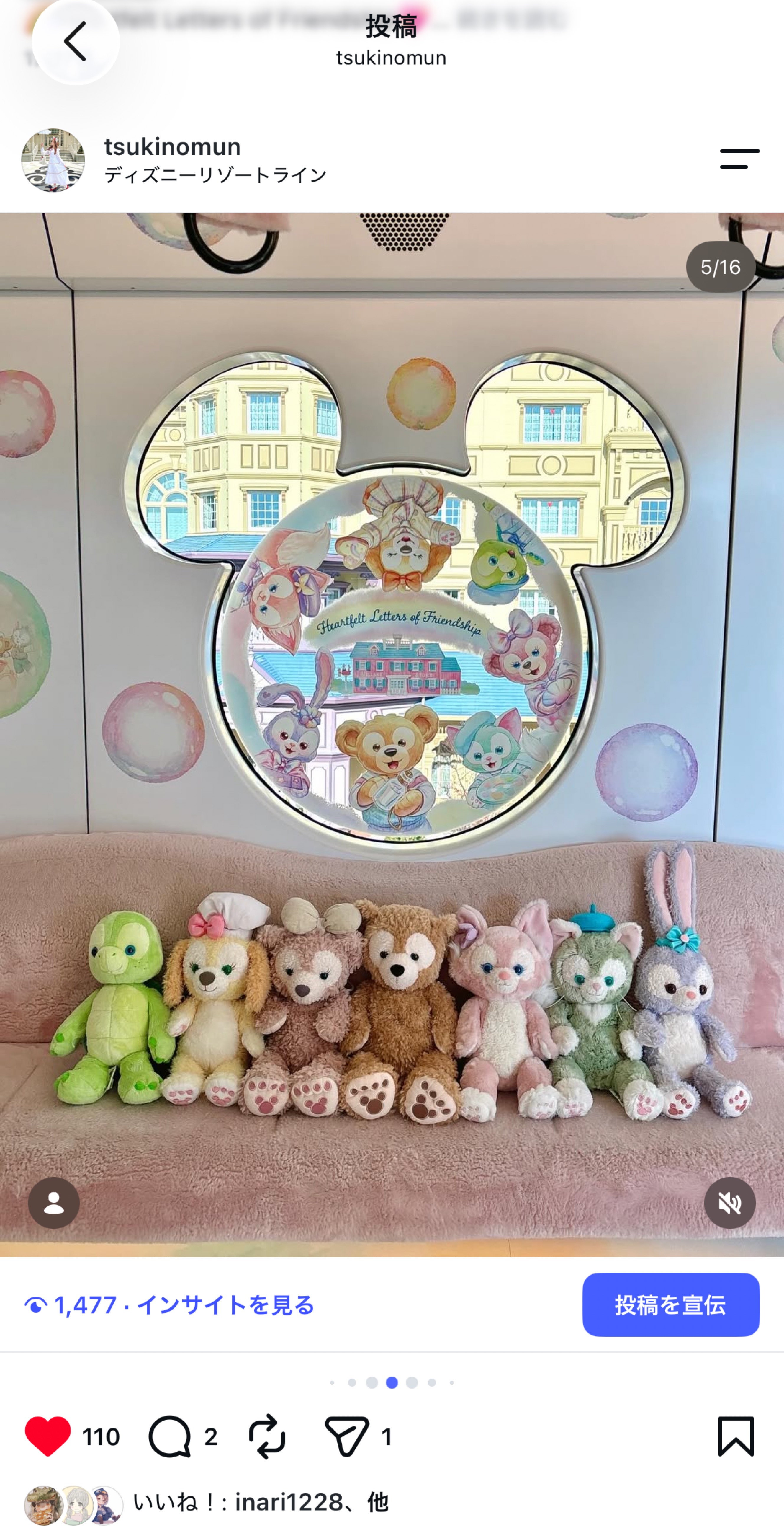 本日からスポットライト掲載🌙
