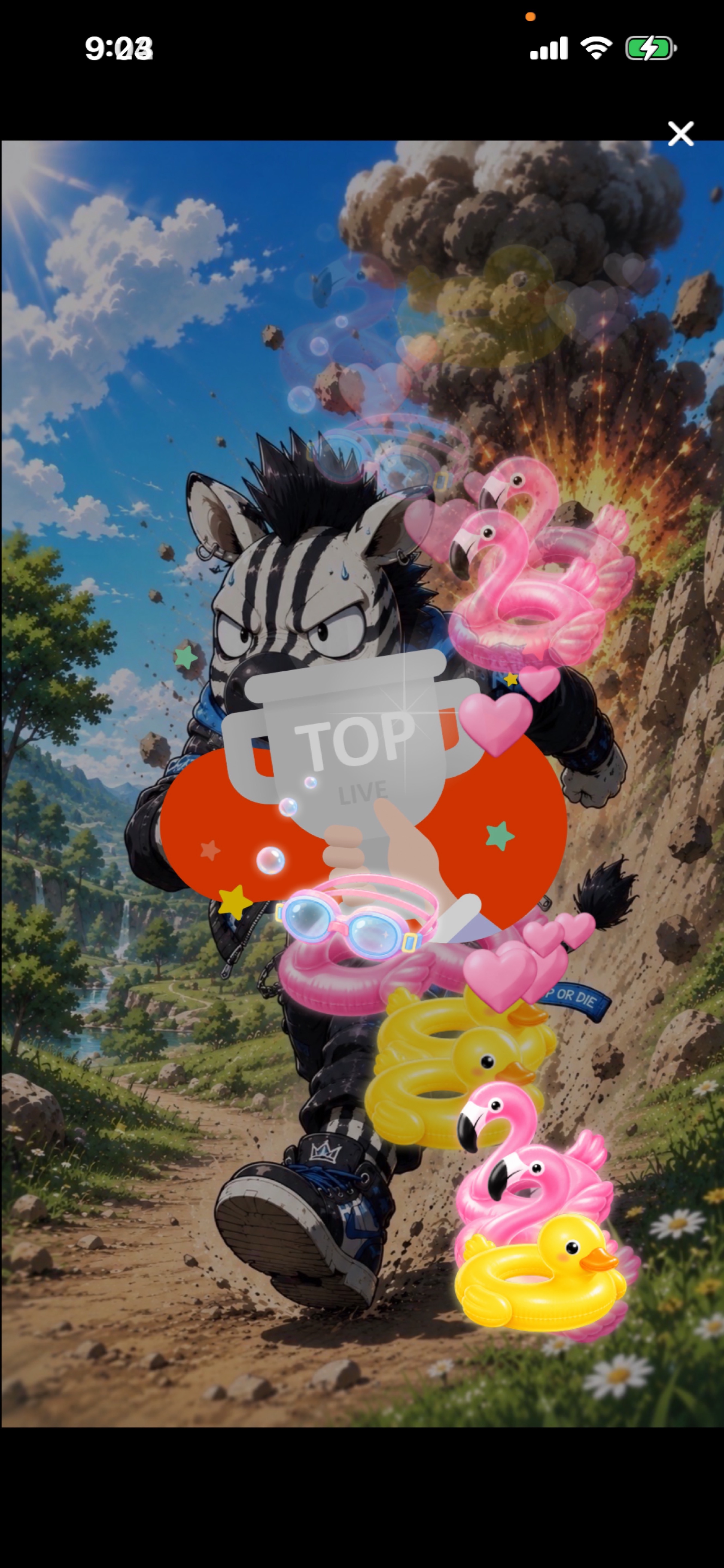 朝雑ってやつ！🦓💥