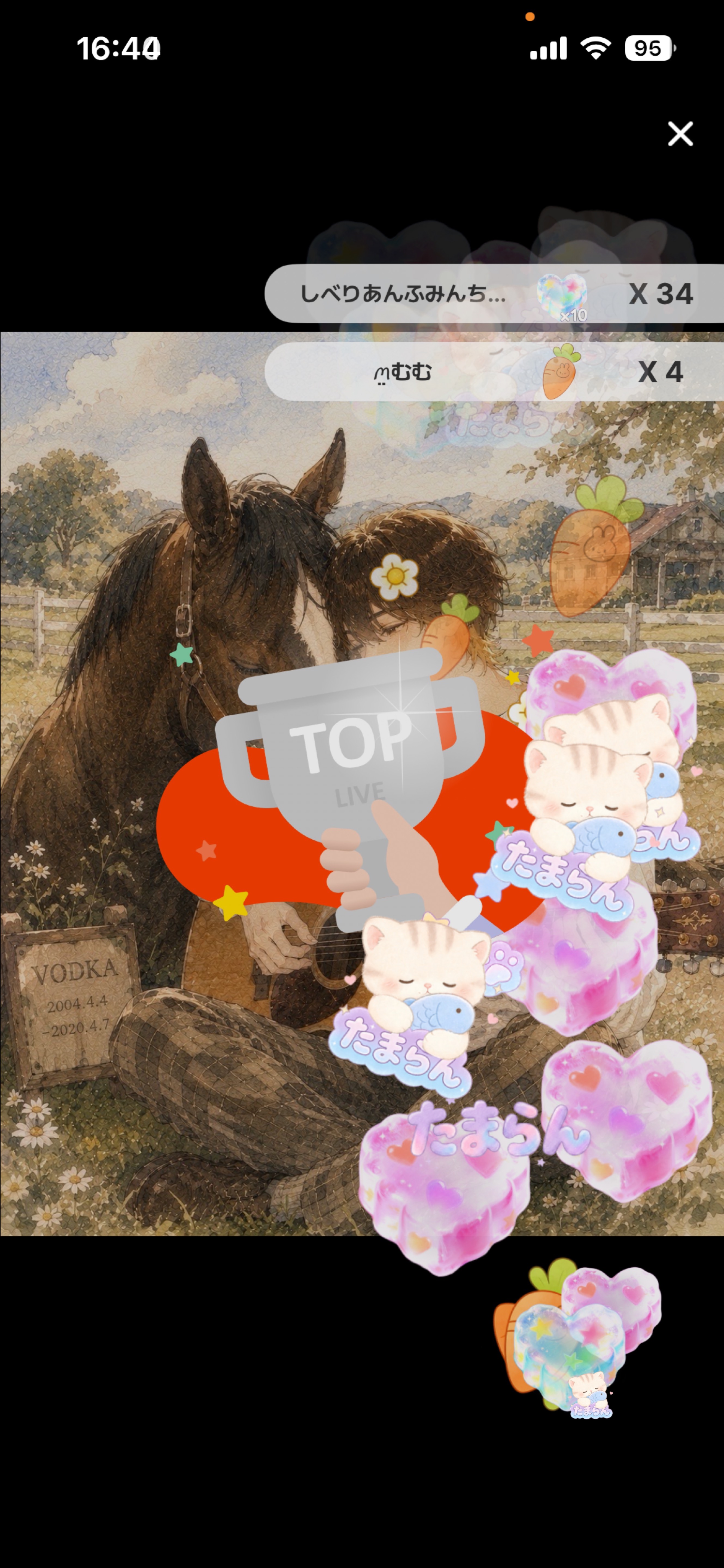 夕方ギター枠🐴