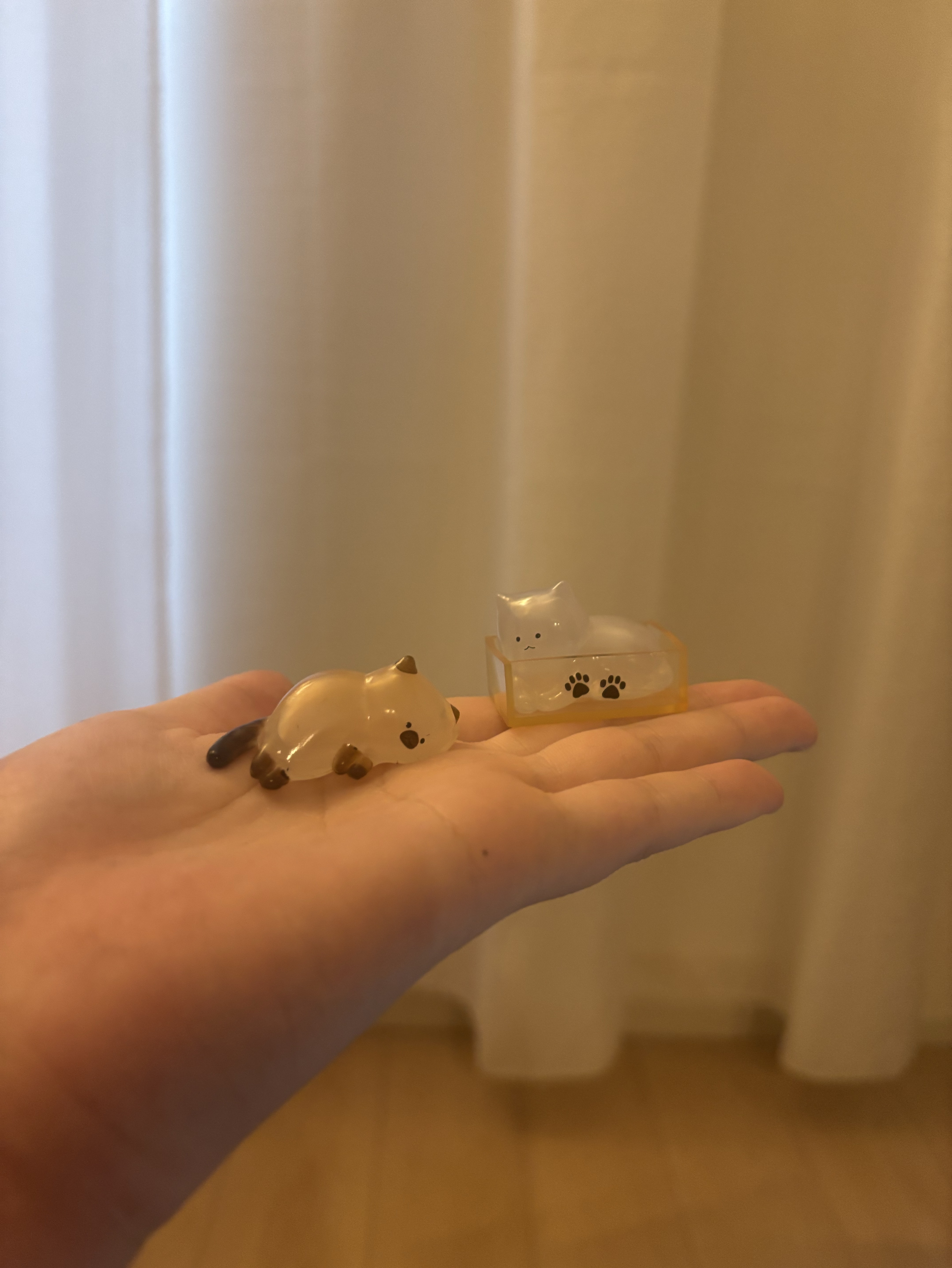 19時くらいまで ゆる雑談🌠