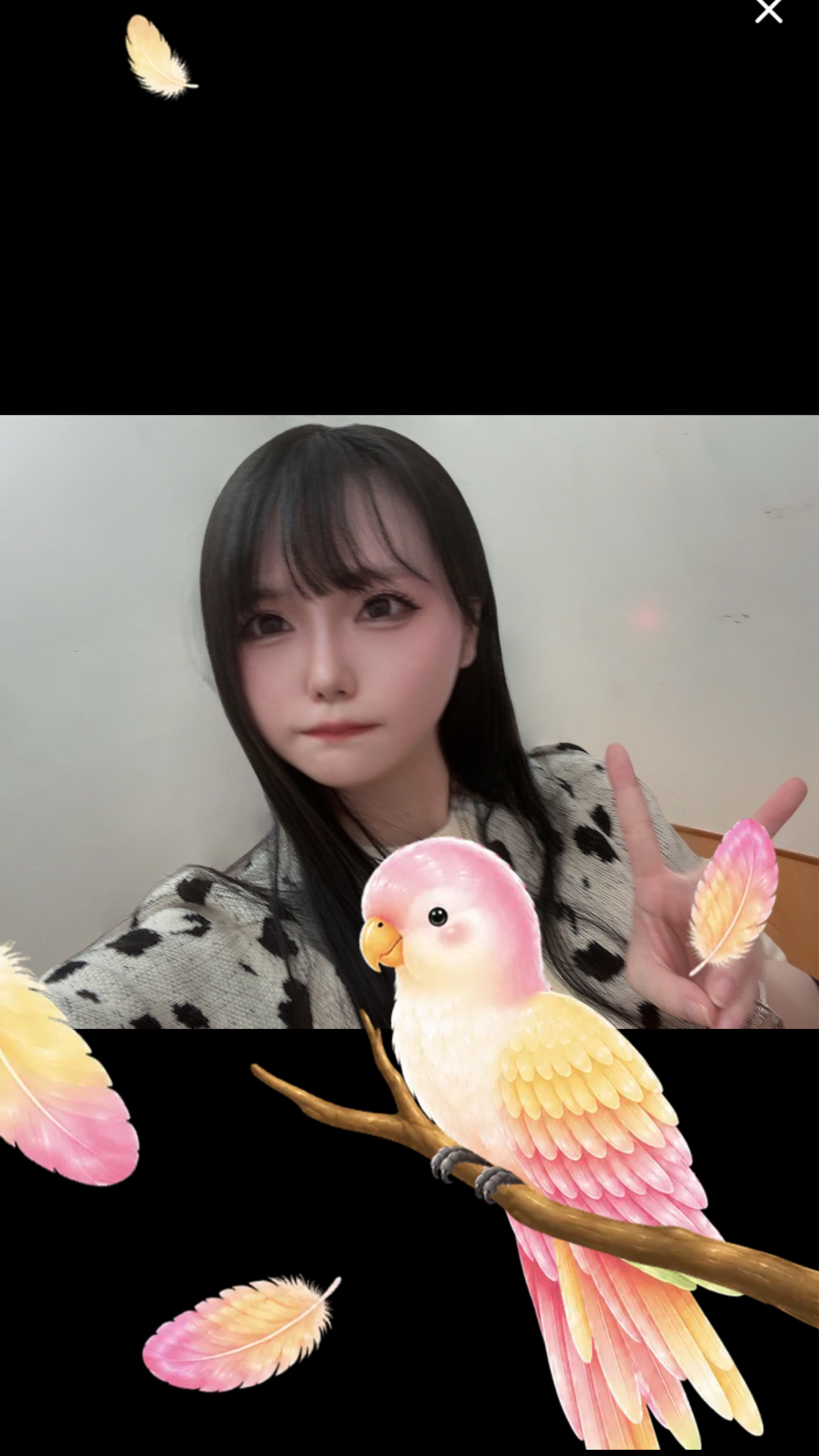 うたうだよ