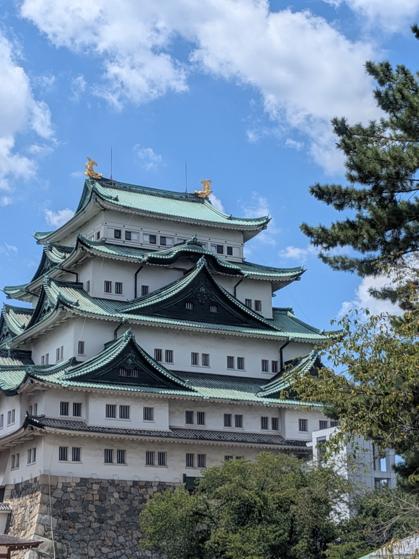 愛知旅行中+ﾄｰﾘｽ200人！(残91)